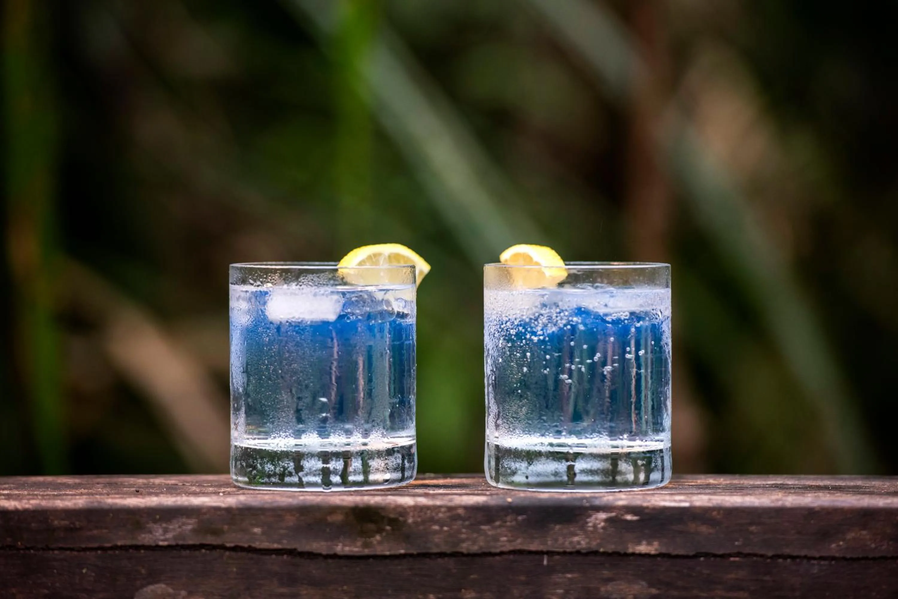 Restaurant/places to eat in Daintree Wilderness Lodge