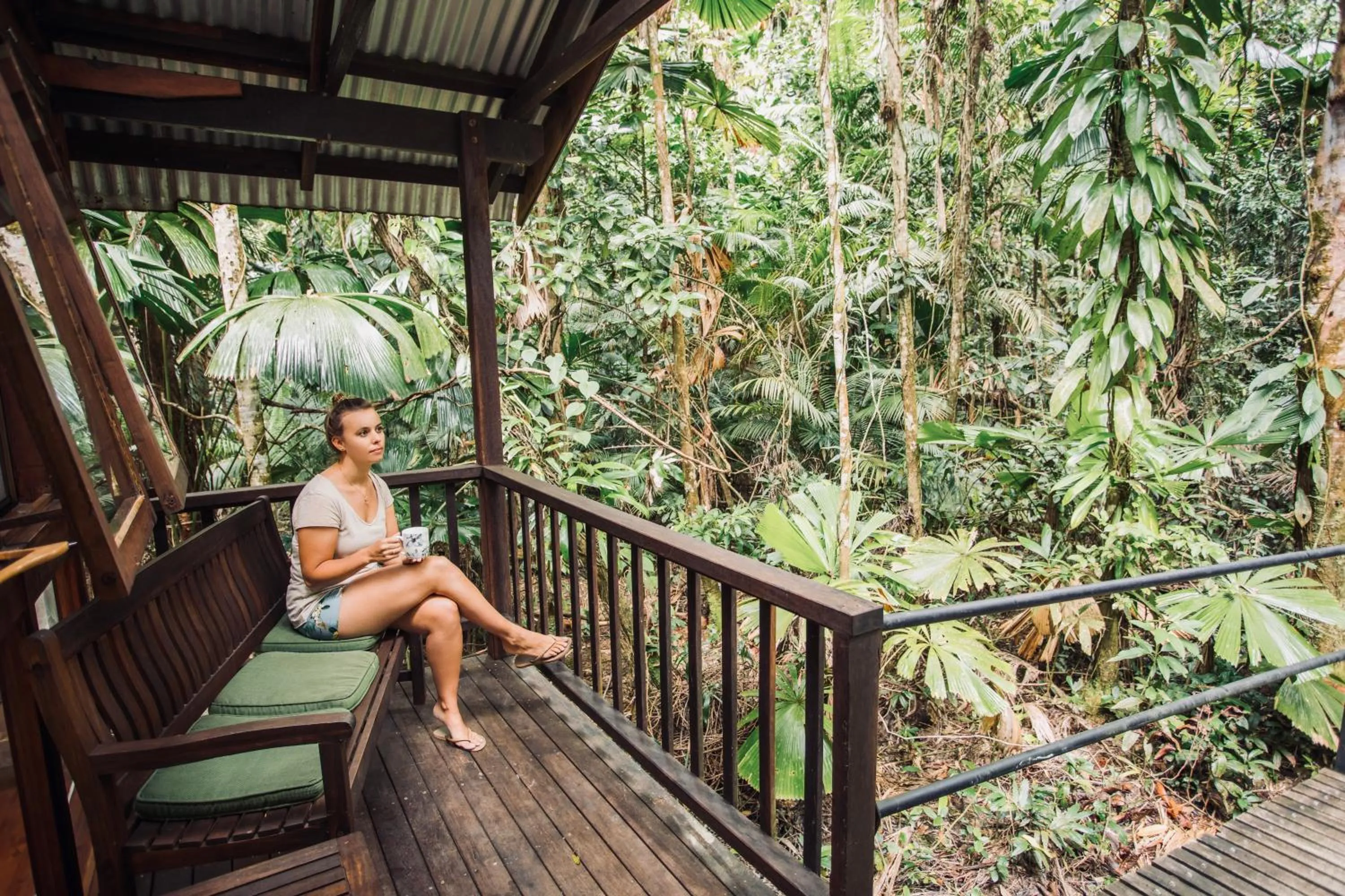 Natural landscape in Daintree Wilderness Lodge