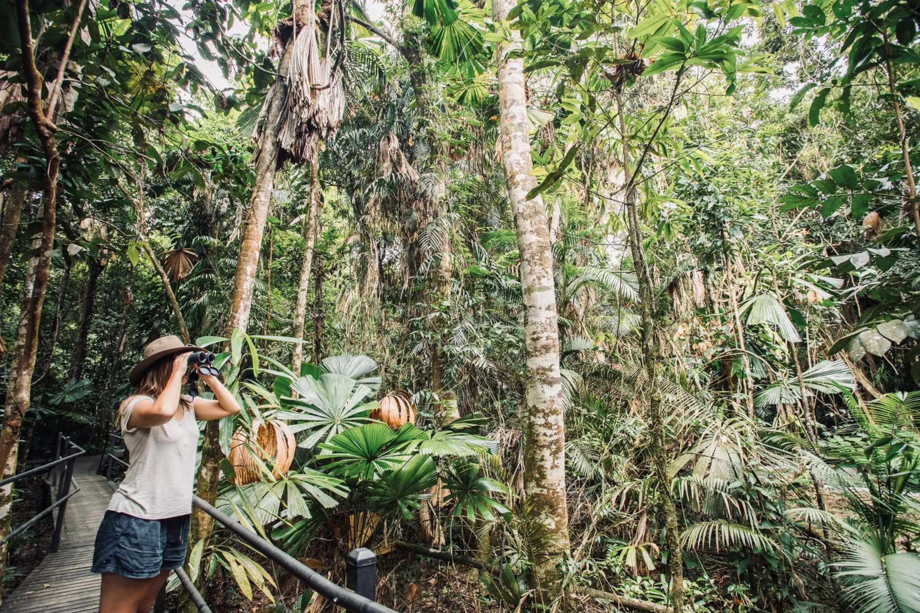 Natural landscape in Daintree Wilderness Lodge