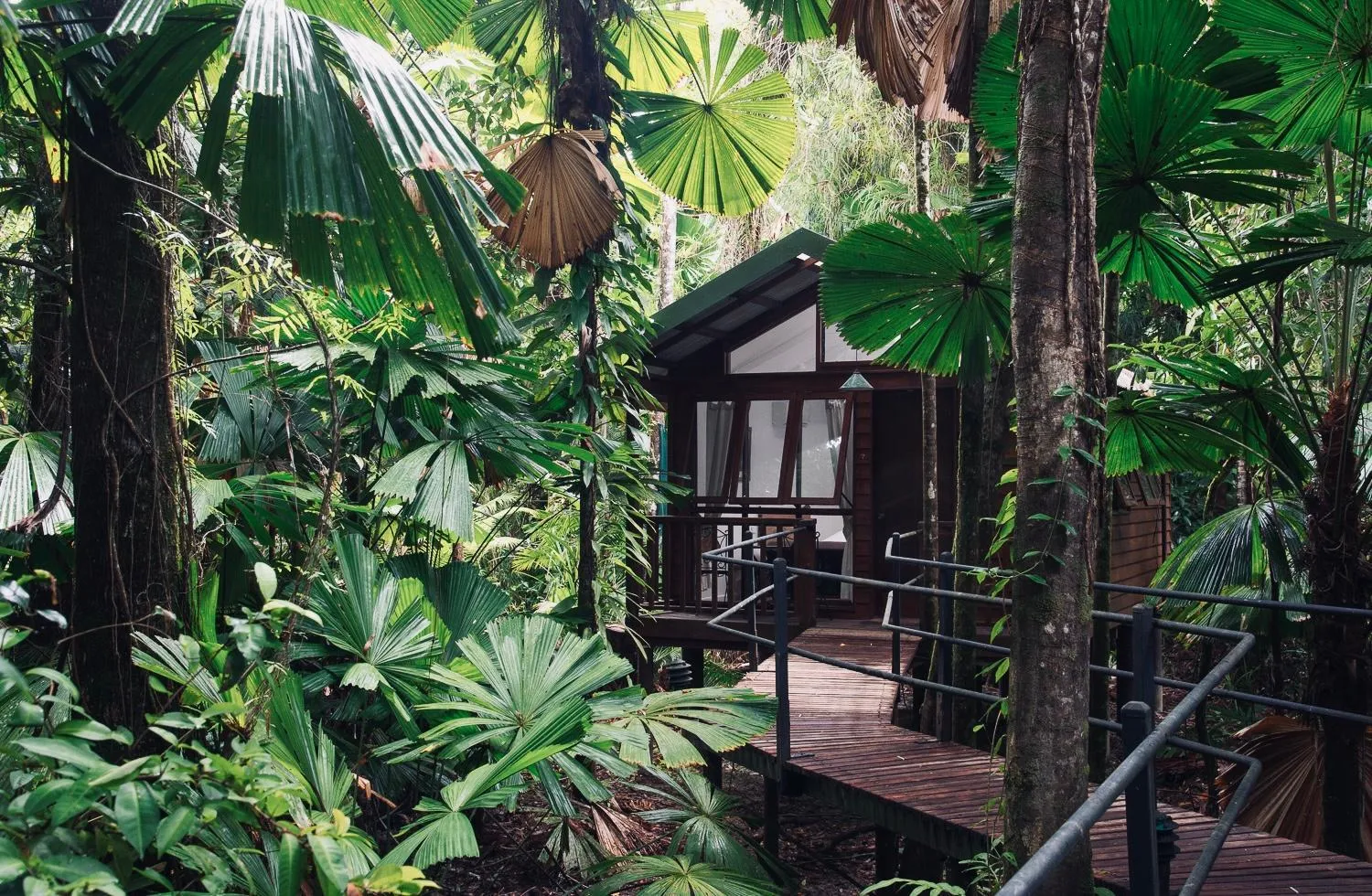 Facade/entrance in Daintree Wilderness Lodge
