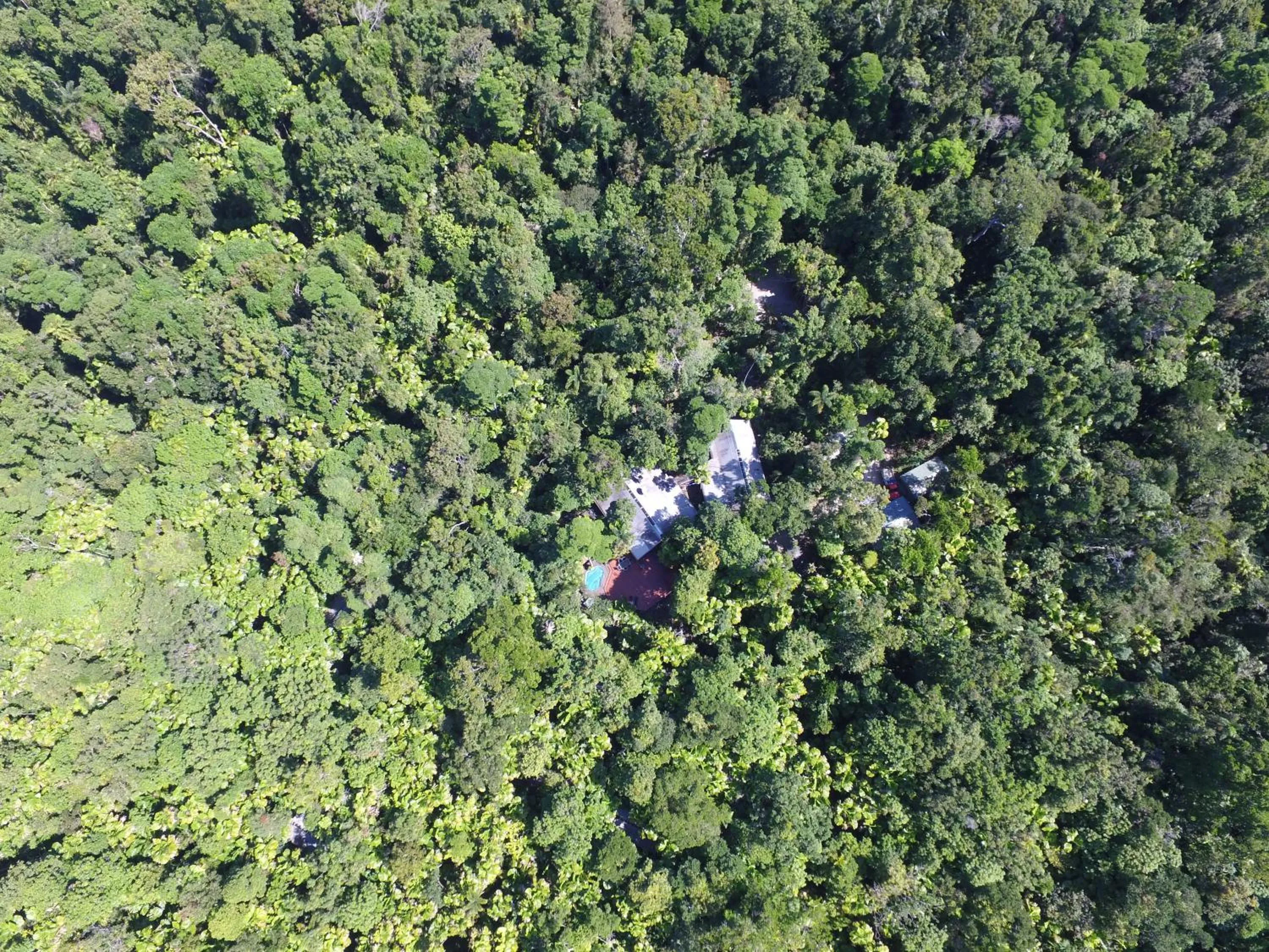 Natural landscape in Daintree Wilderness Lodge