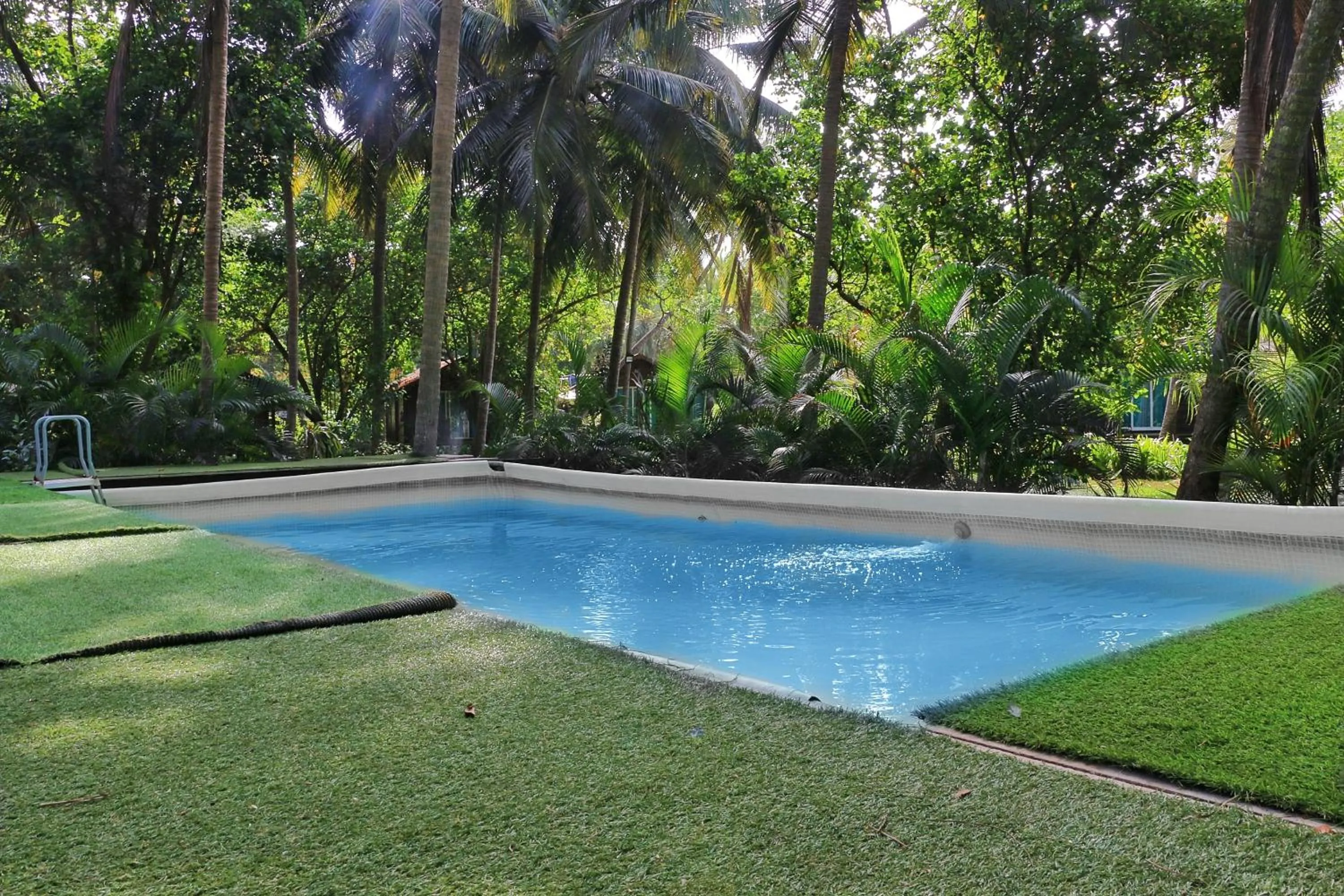 Swimming pool in Montego Bay Beach Village - Morjim