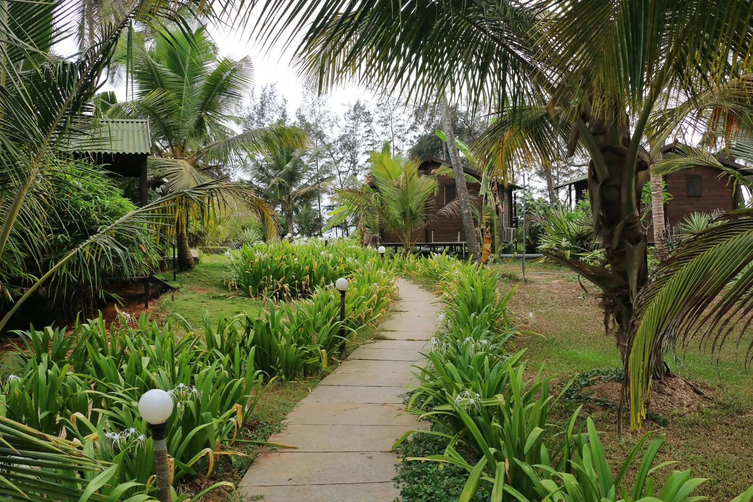 Living room in Montego Bay Beach Village - Morjim