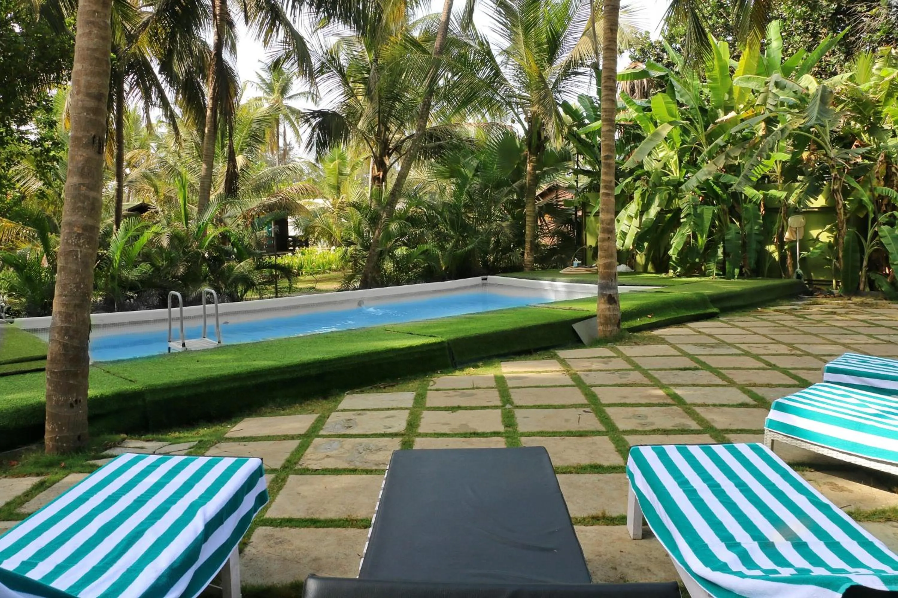 Swimming pool in Montego Bay Beach Village - Morjim