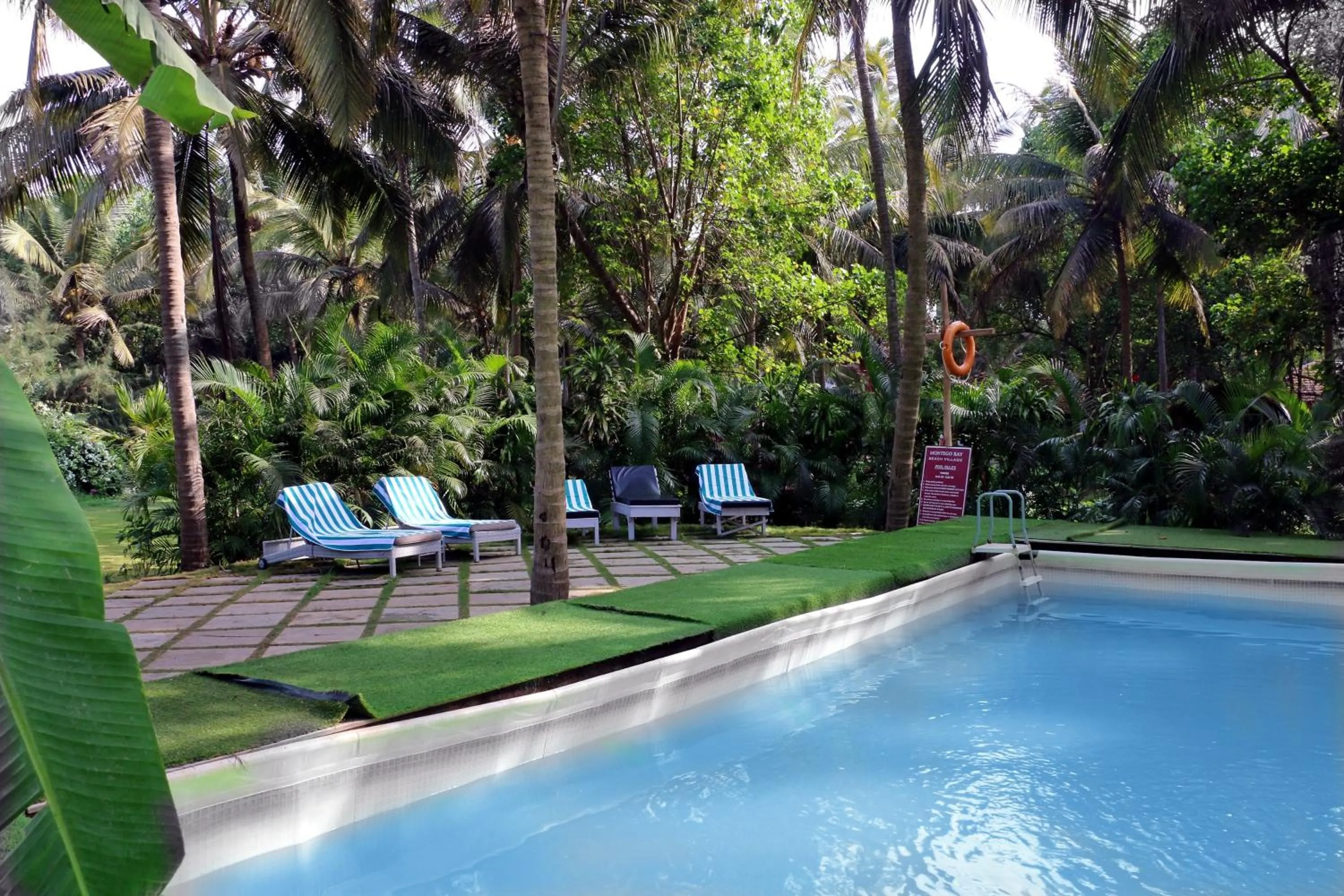 Swimming pool in Montego Bay Beach Village - Morjim