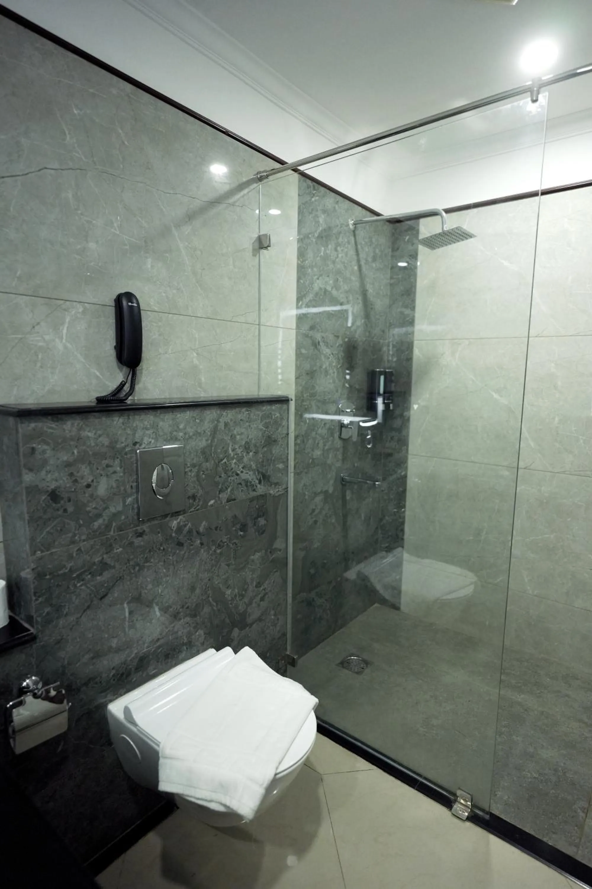 Toilet in Maurya Rajadhani