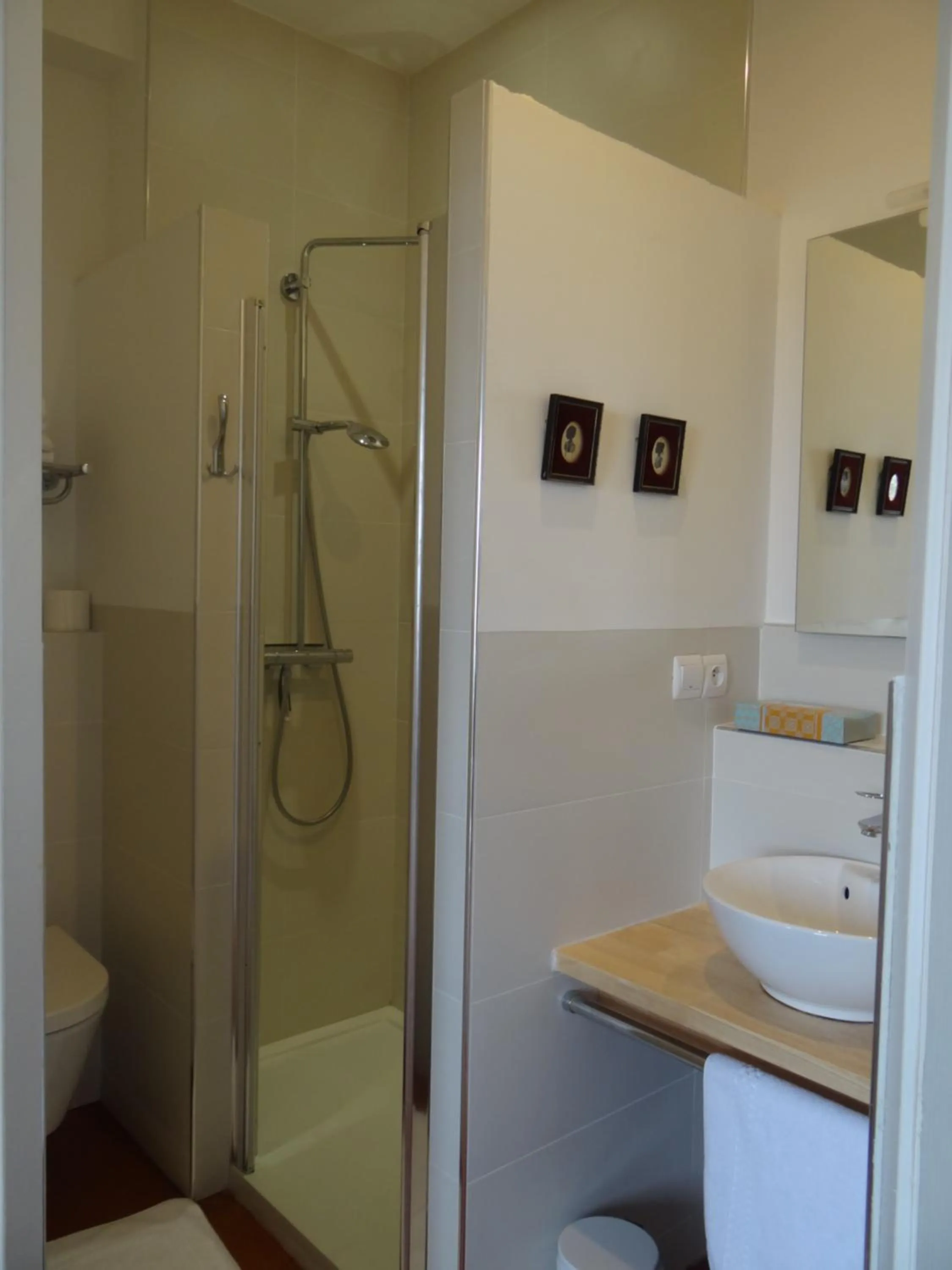 Toilet in La Grande Maison