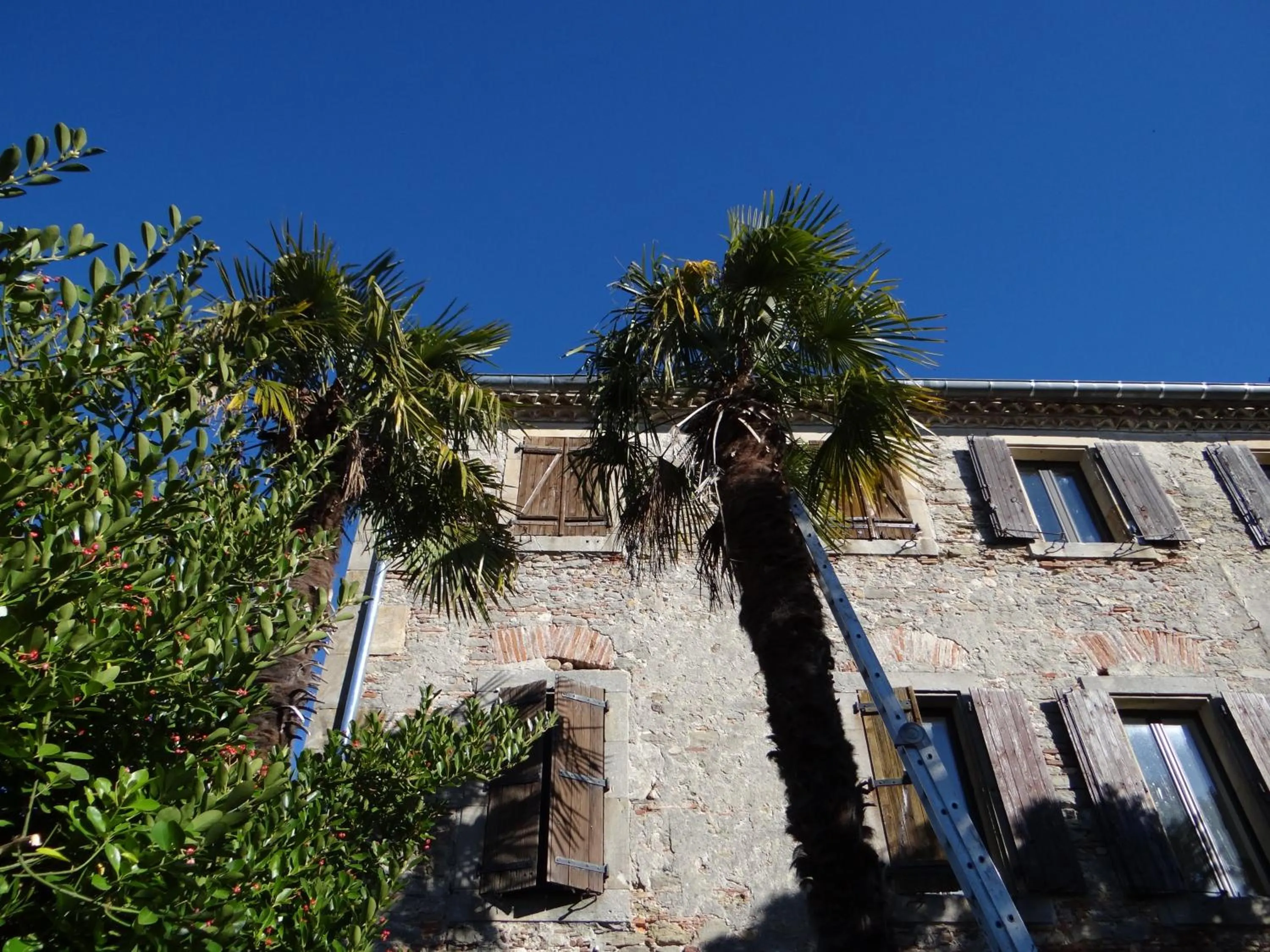 Bird's eye view in La Grande Maison