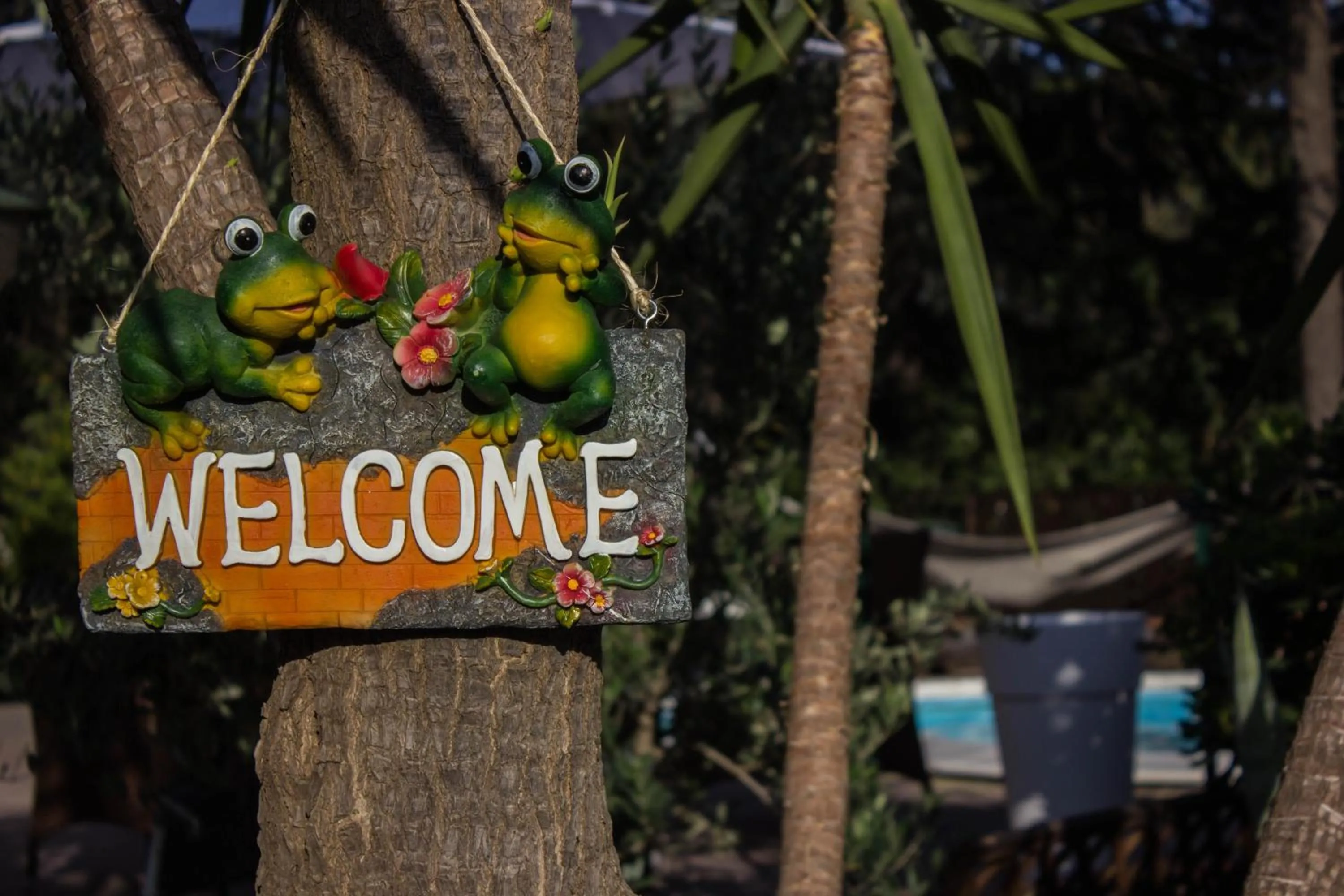 Day in B&B Etna House