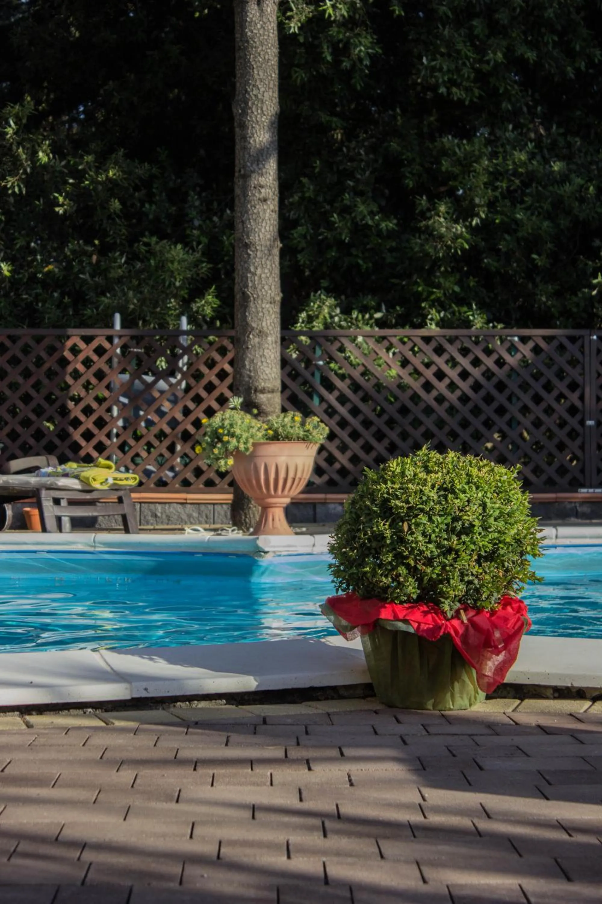 Day in B&B Etna House