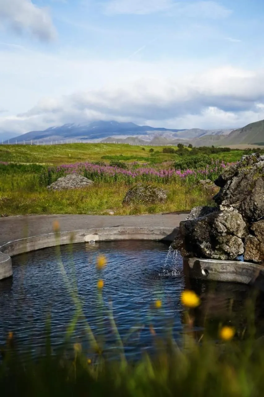 Natural landscape in Hotel Leirubakki