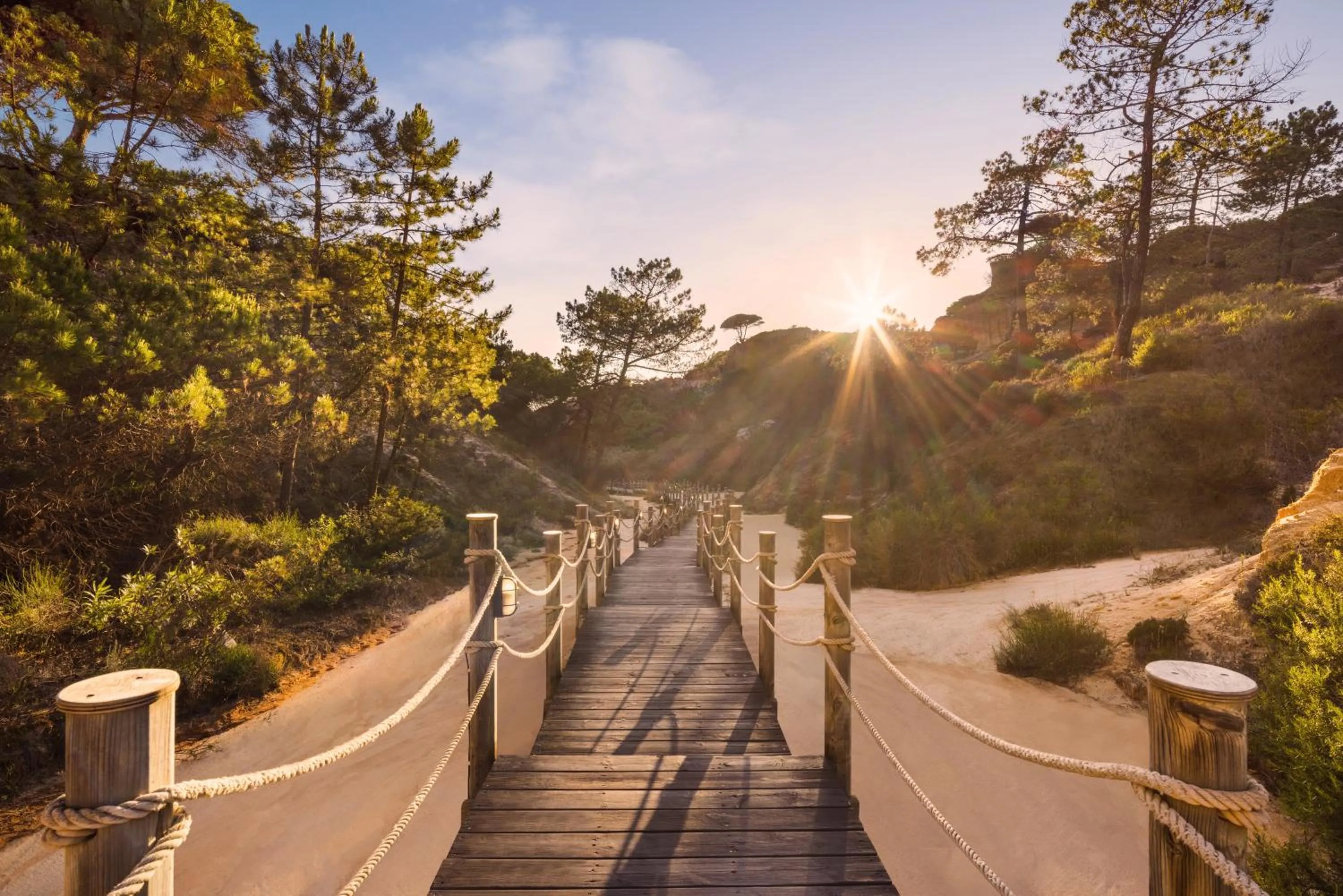 Beach in Pine Cliffs Gardens