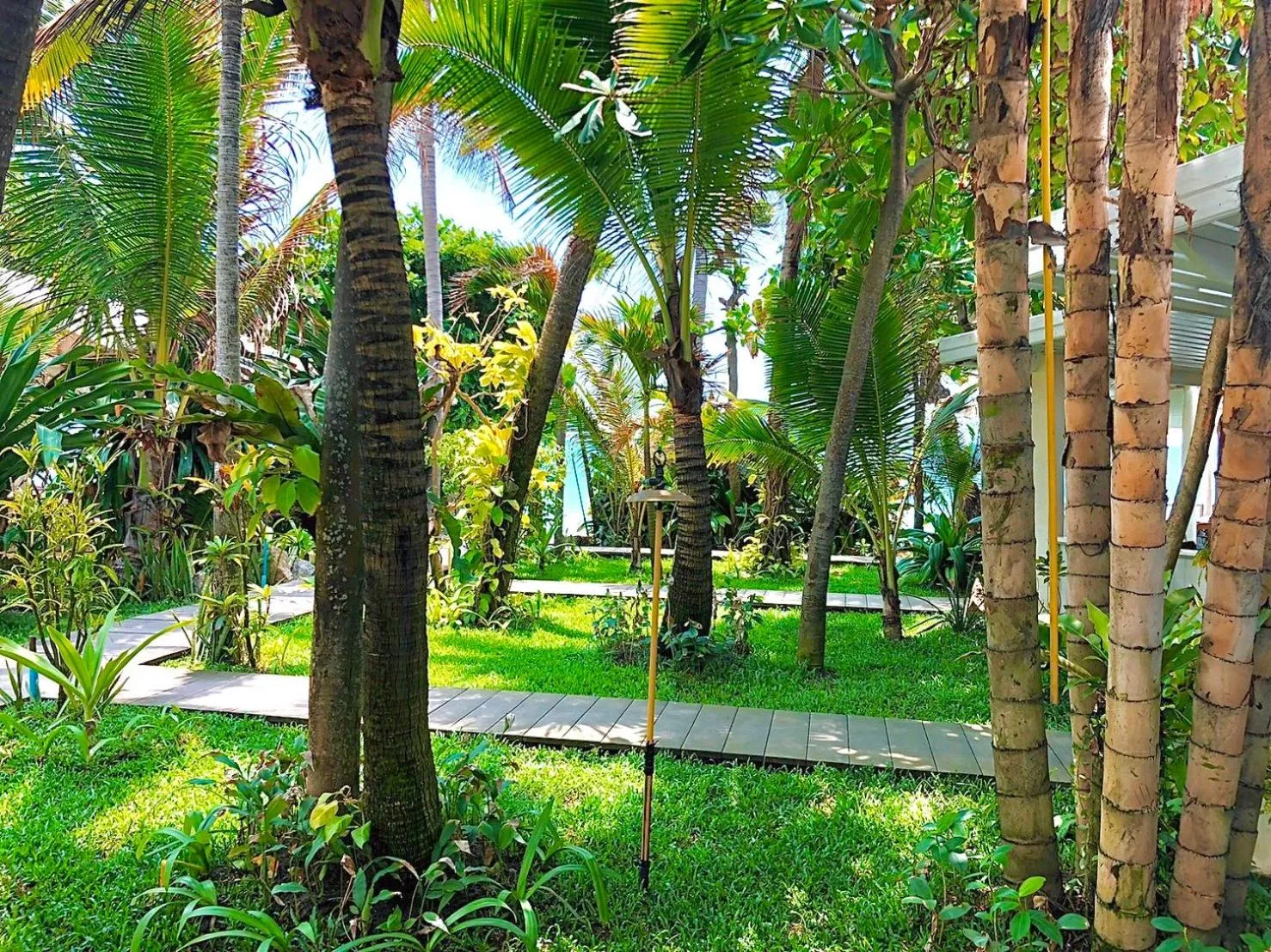 Garden in Sans Souci Samui