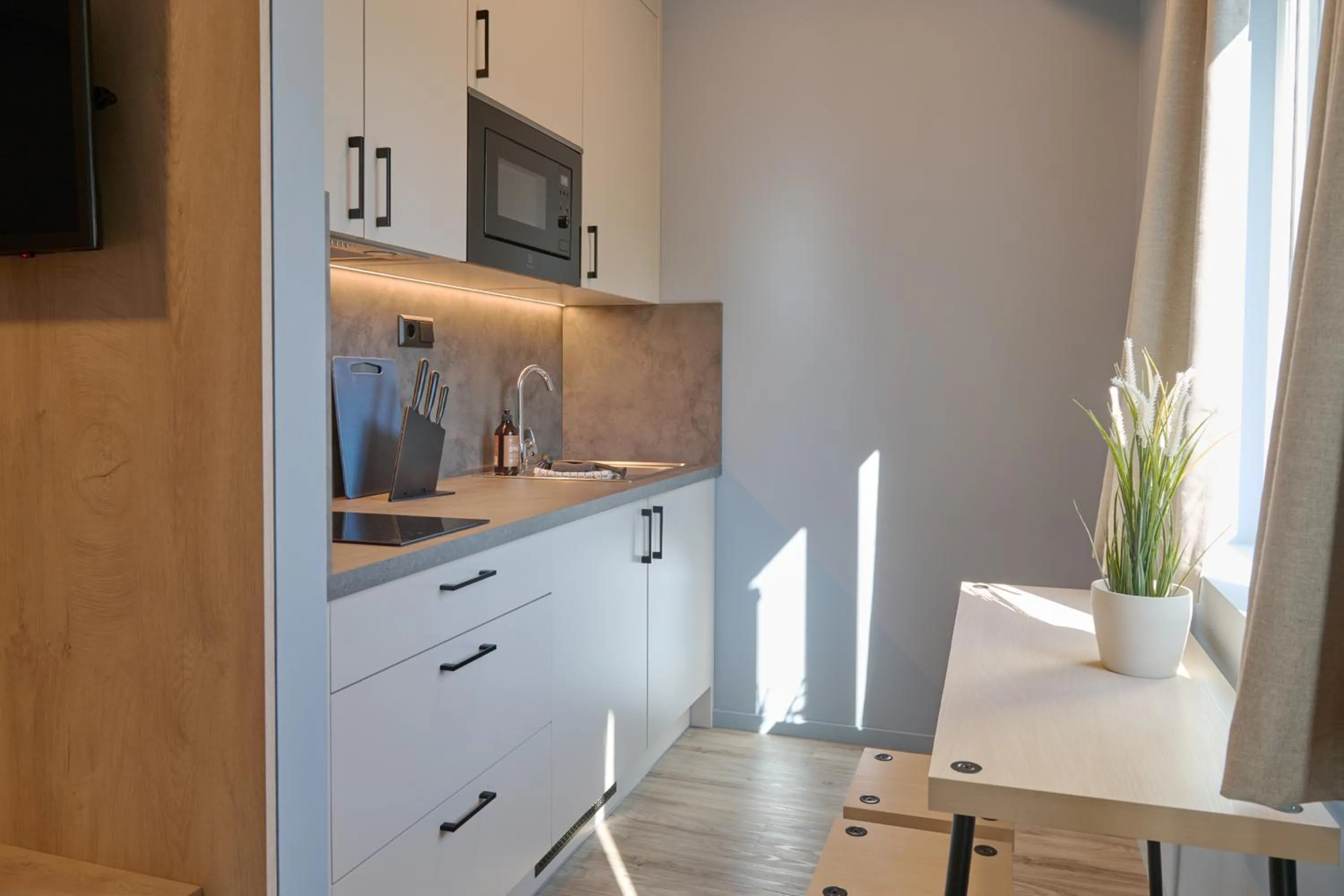 TV and multimedia in Horten Apartment