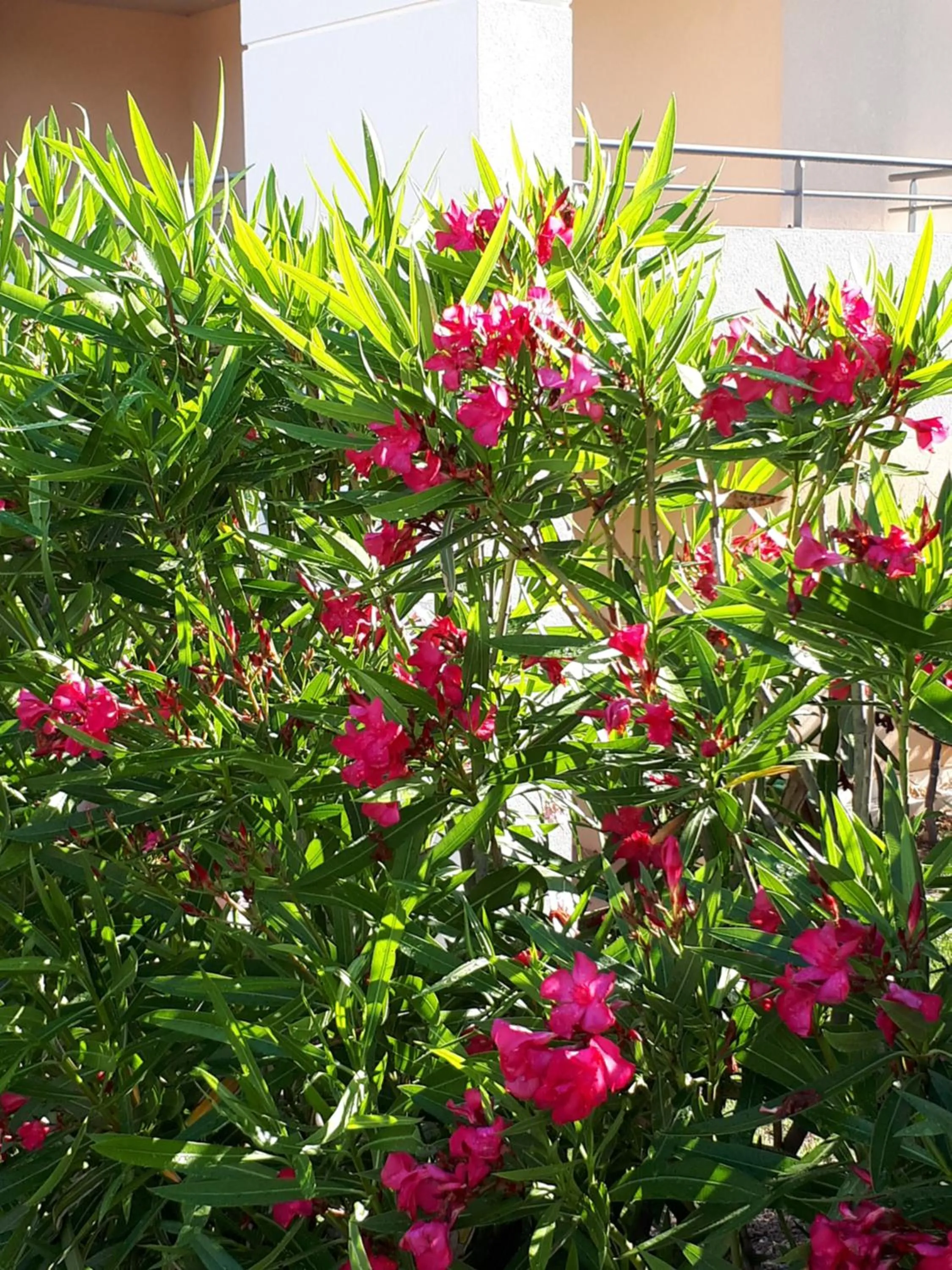Property building in Les Parasols d'Argens