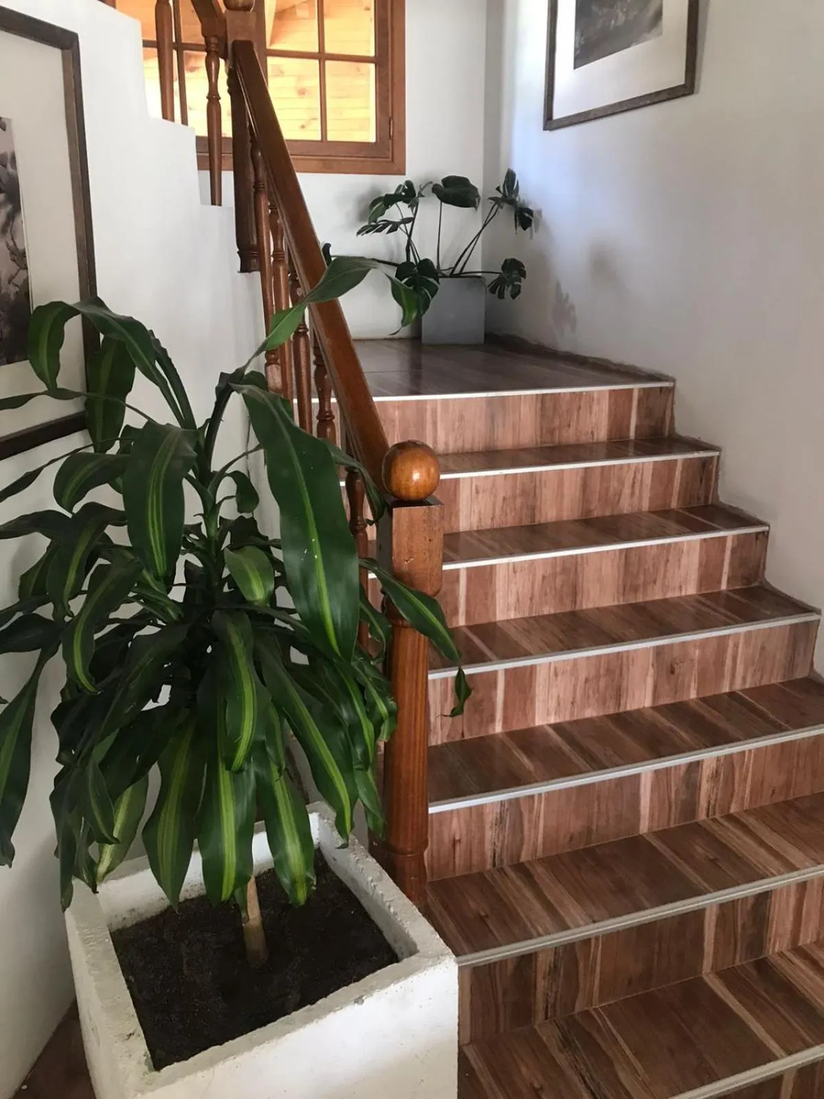 Property building in Hostería Cumbres Blancas