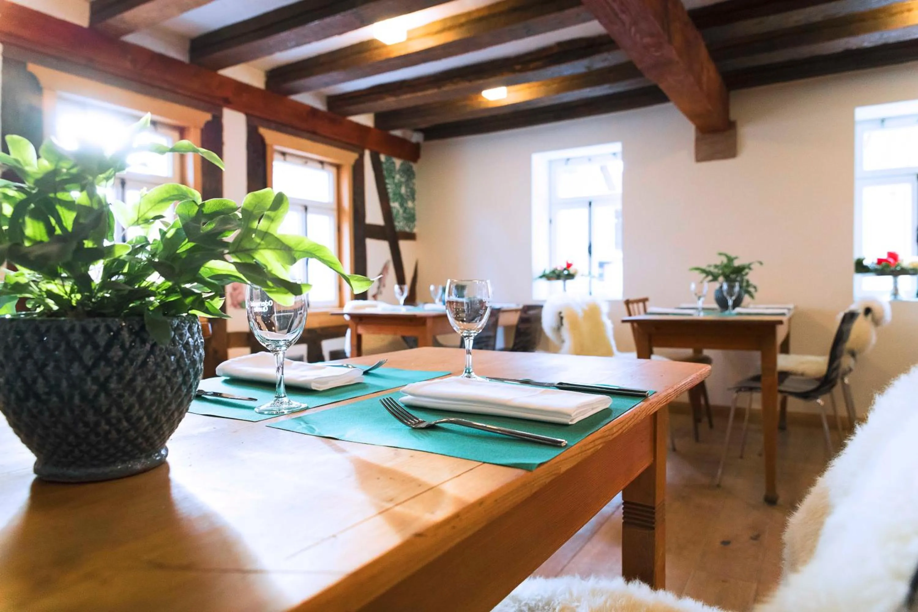 Restaurant/places to eat in Gasthof zum Ochsen