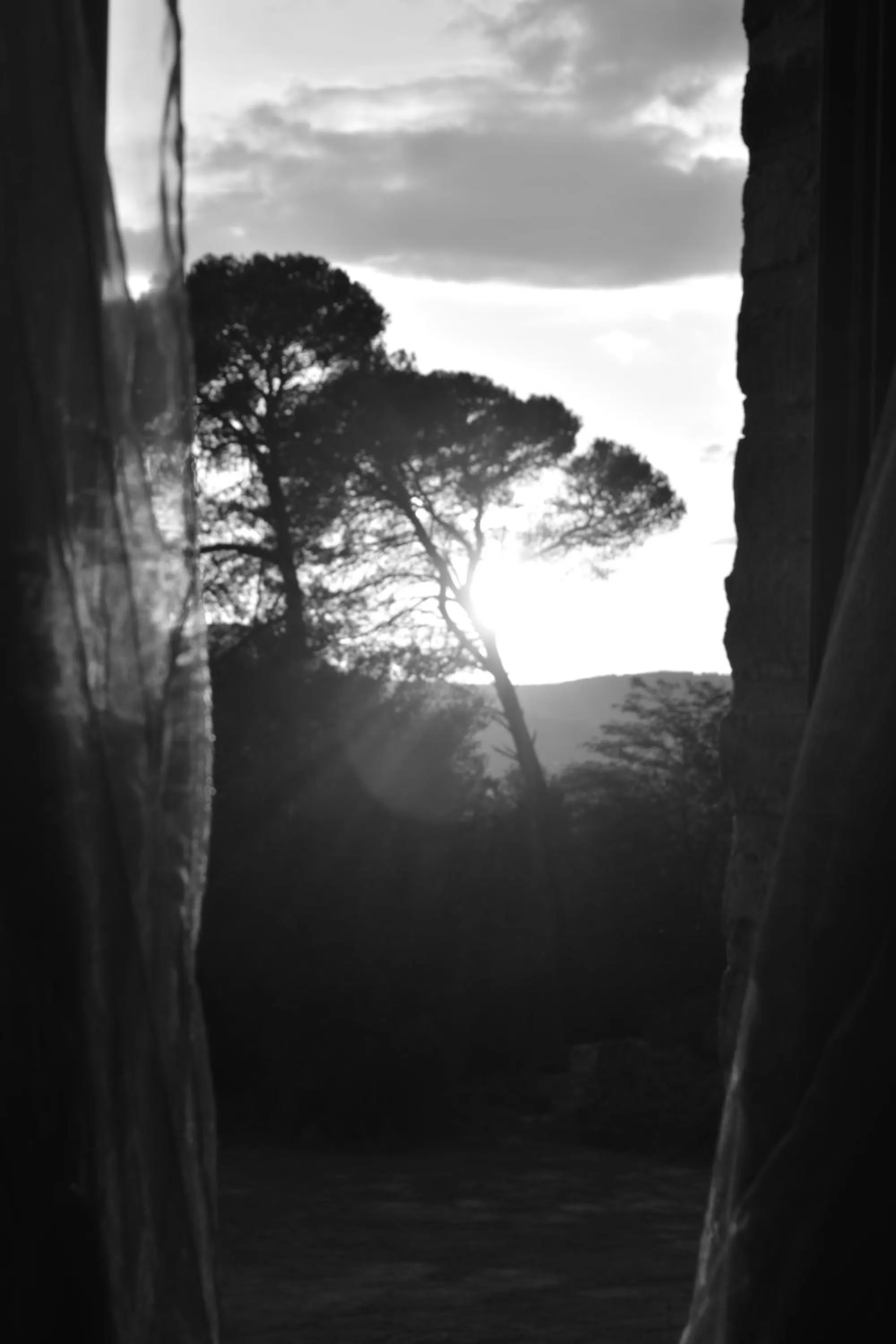 Spring in Mas d'Asvin & Spa