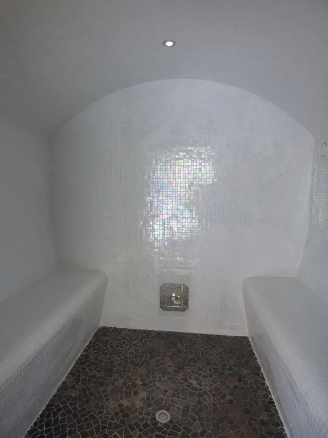 Steam room in Mas d'Asvin & Spa