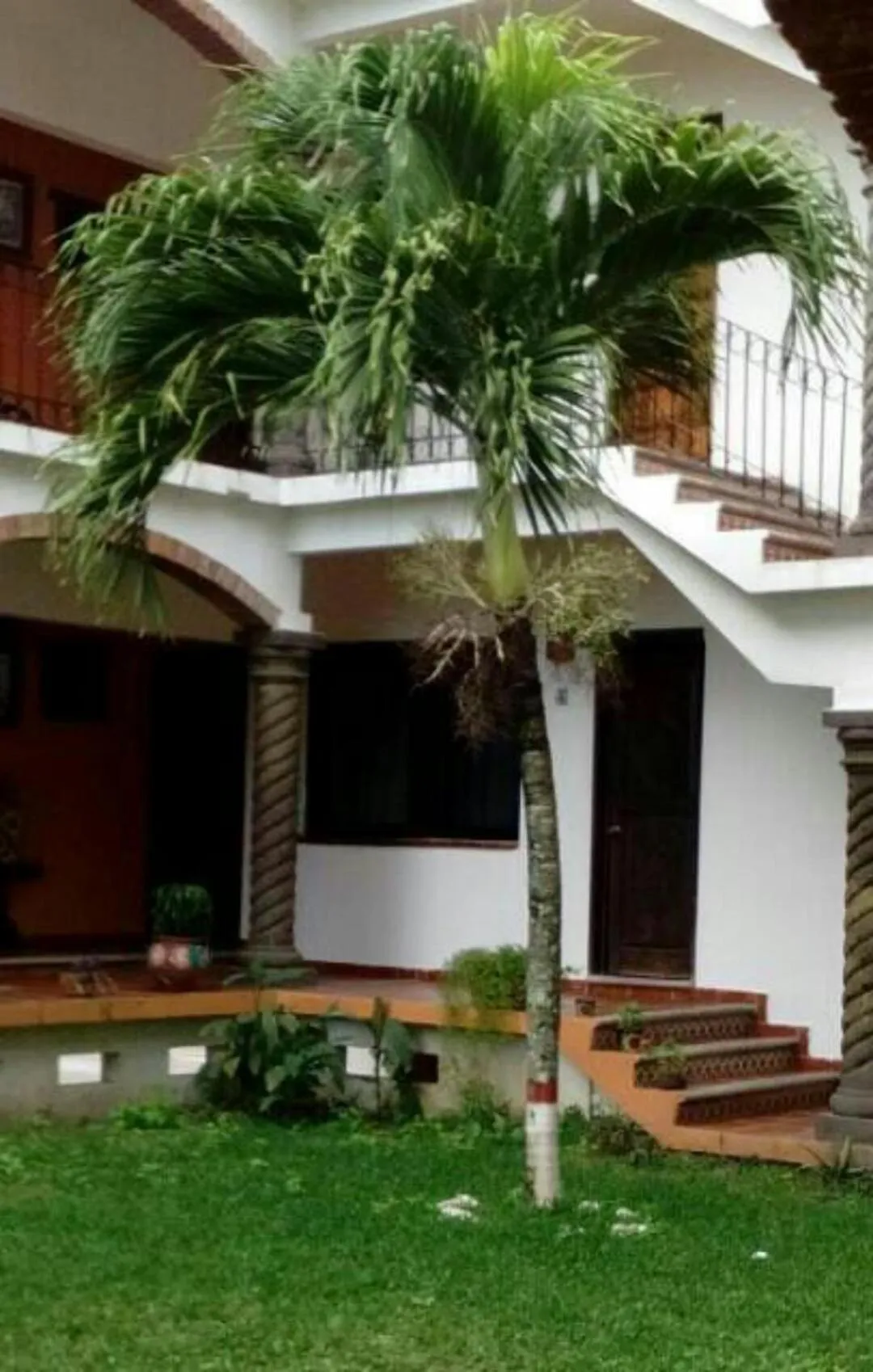 Hotel Villa Palmeras