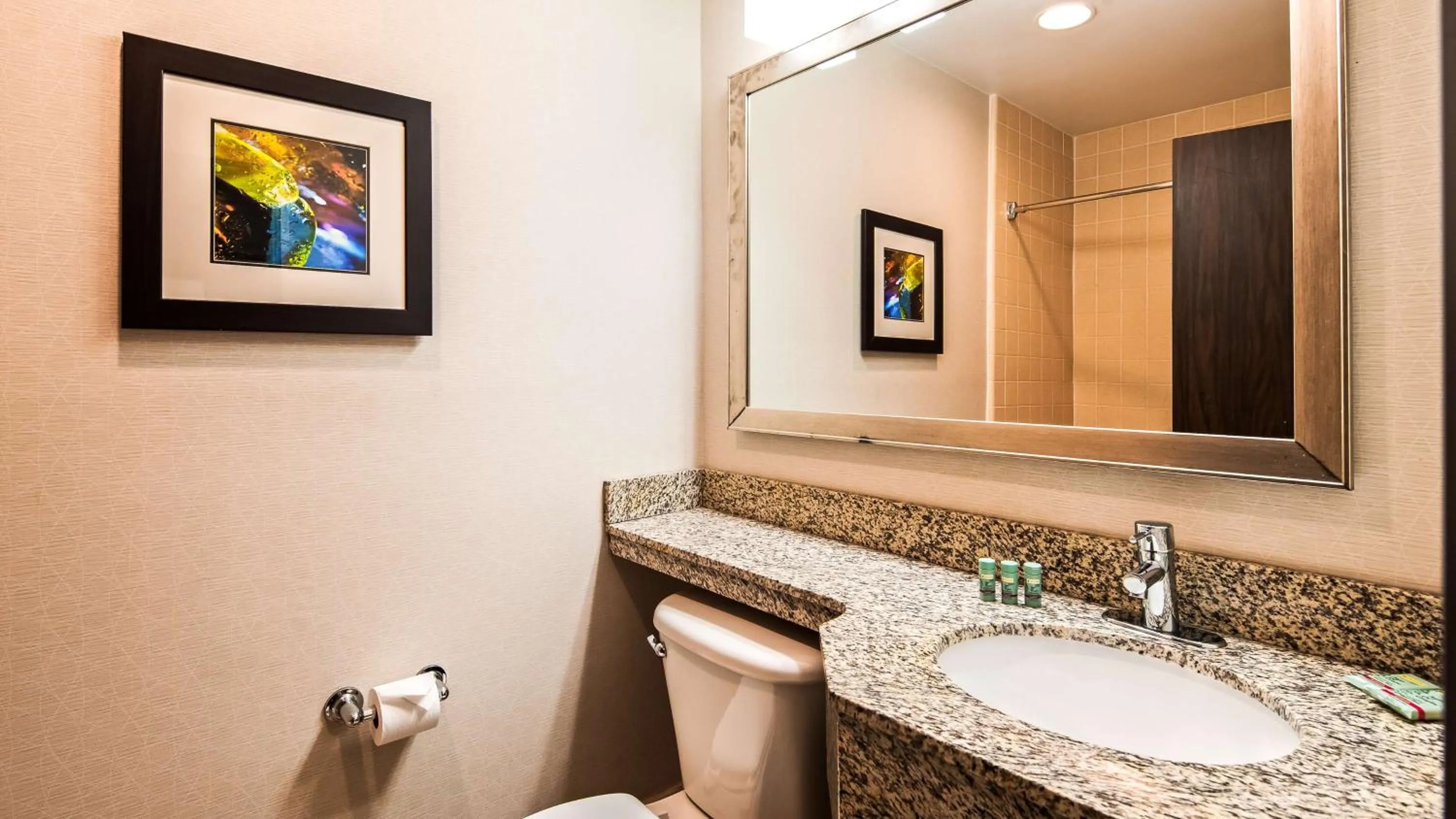 Bathroom in SureStay Plus Hotel by Best Western Raleigh North Downtown