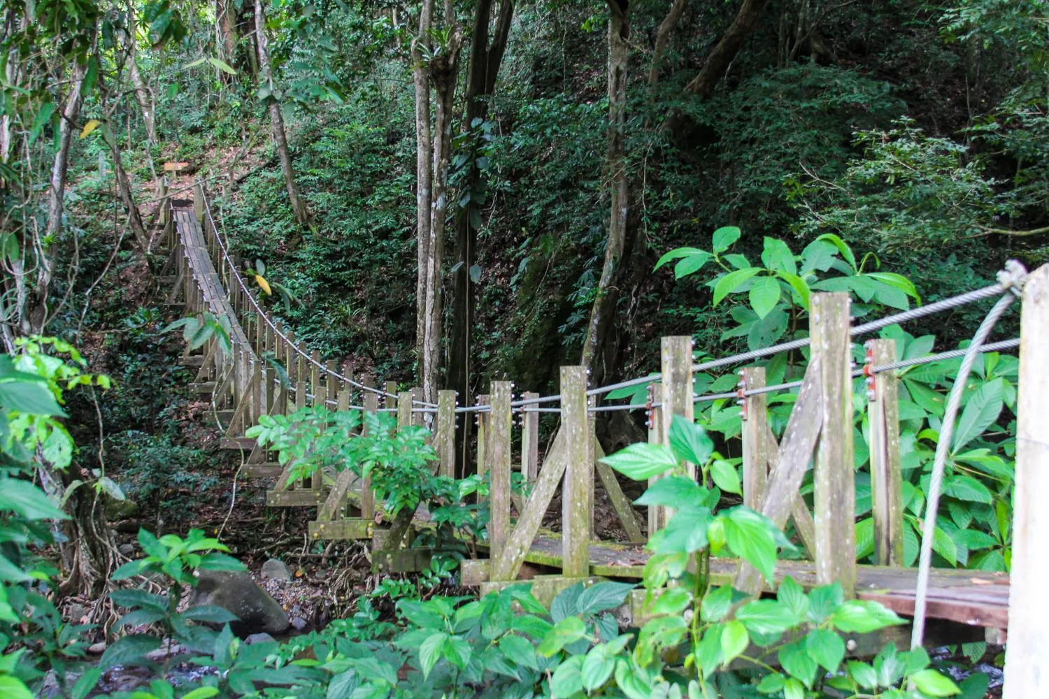 Off site in The Champs