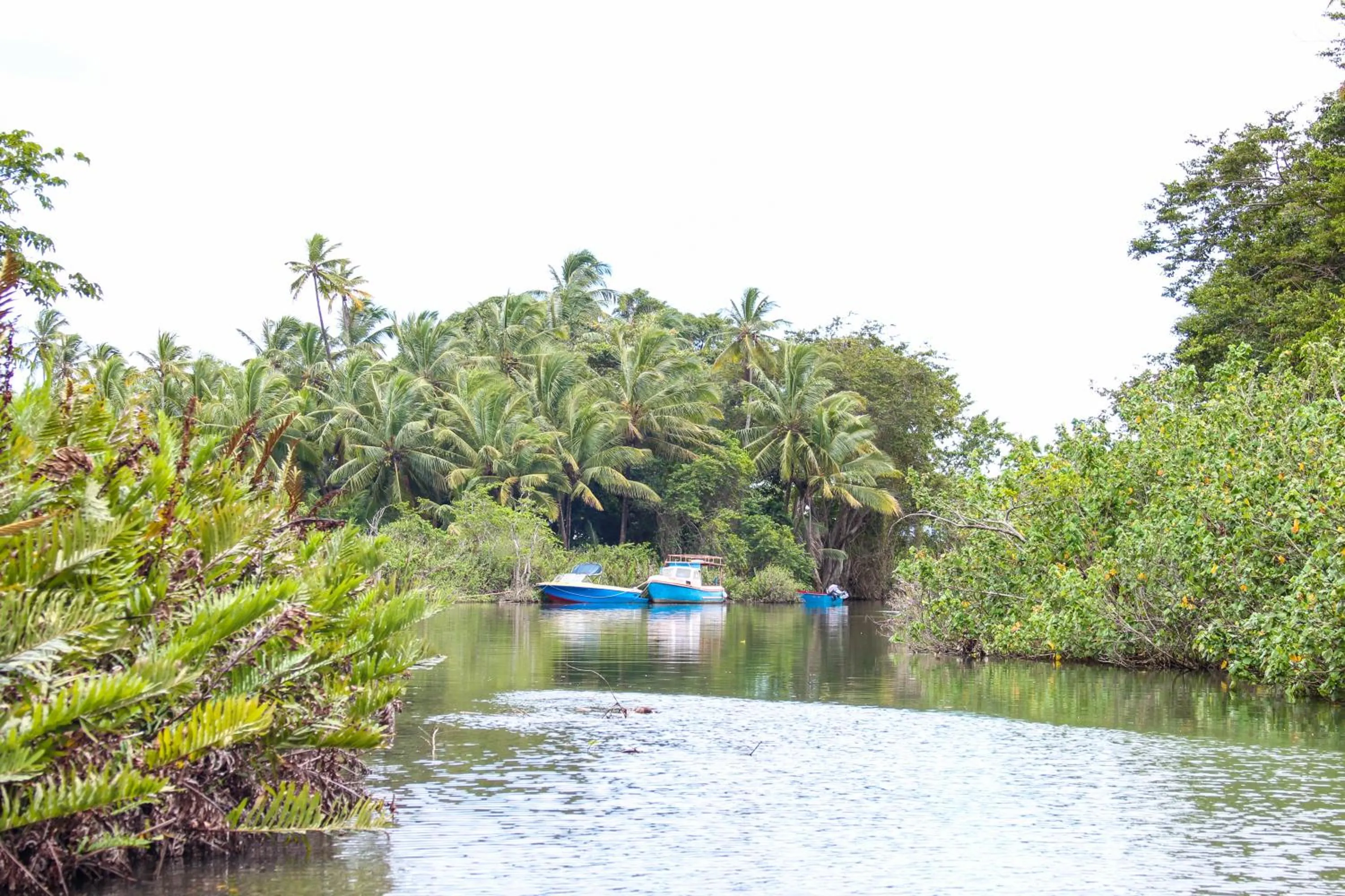 Fishing in The Champs