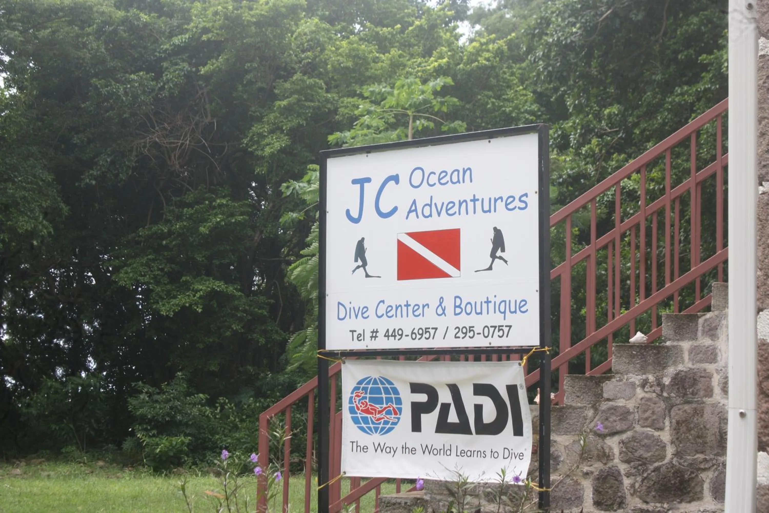 Diving in The Champs