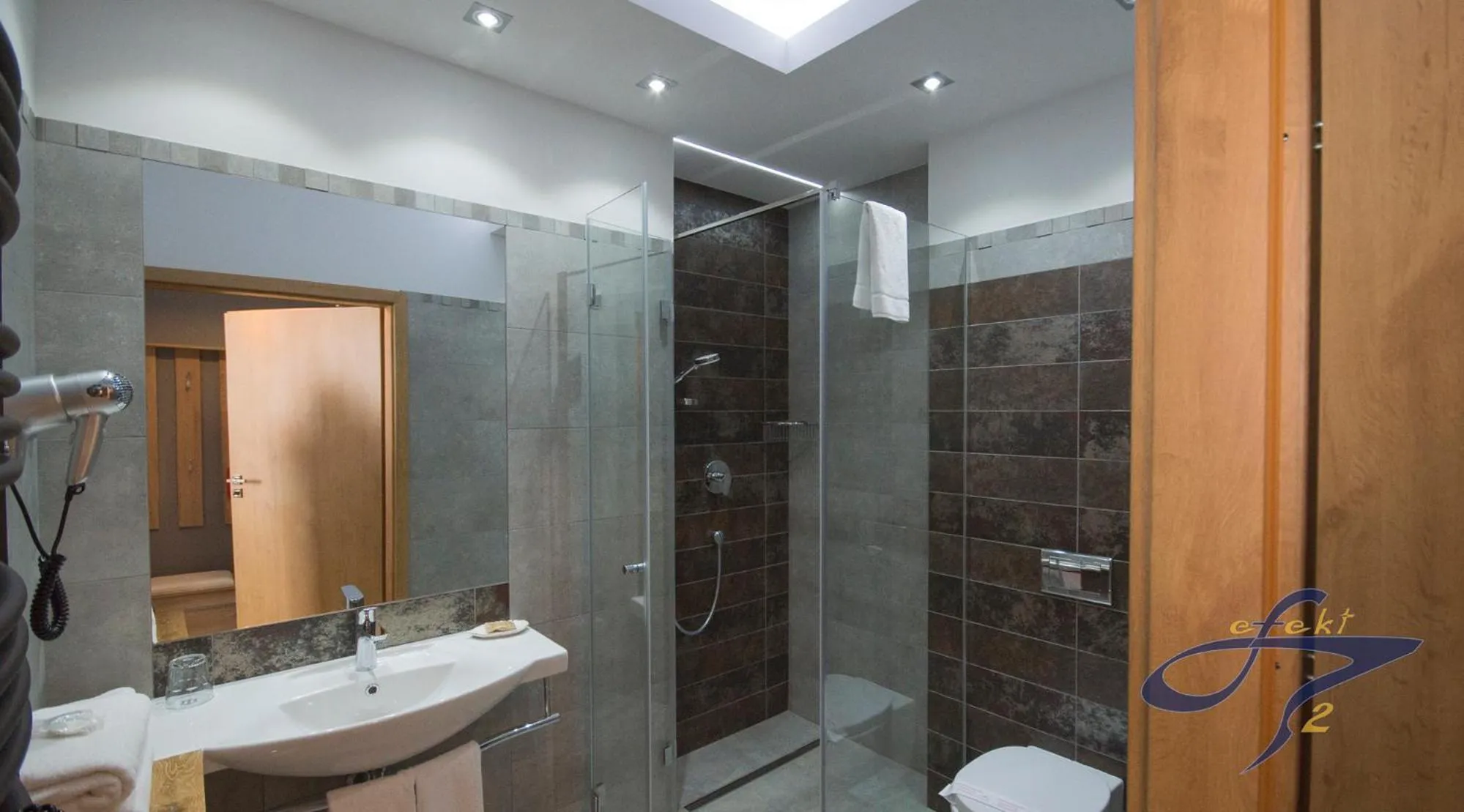 Shower in Apartamenty Efekt 72