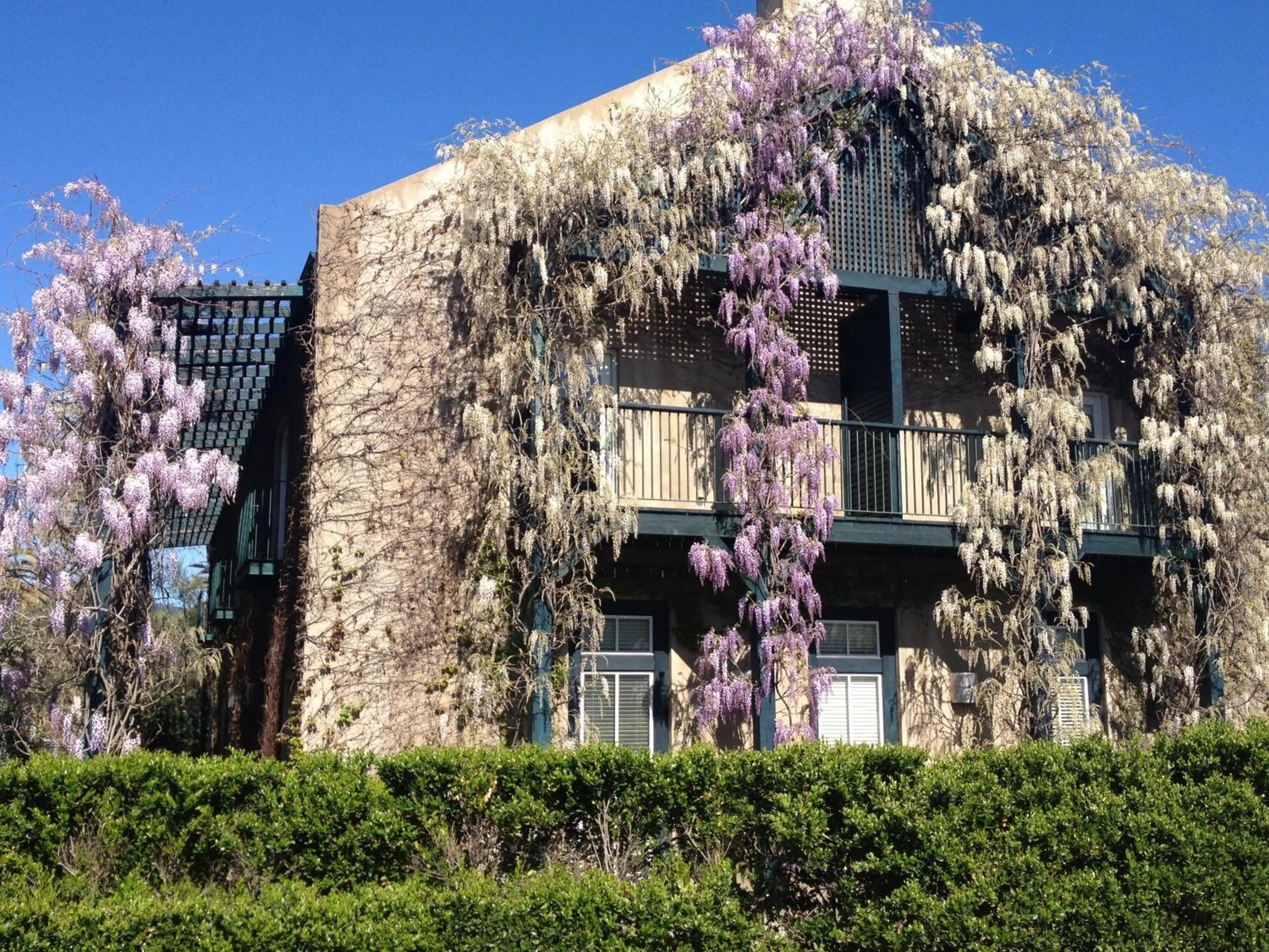 Facade/entrance in Southbridge Napa Valley