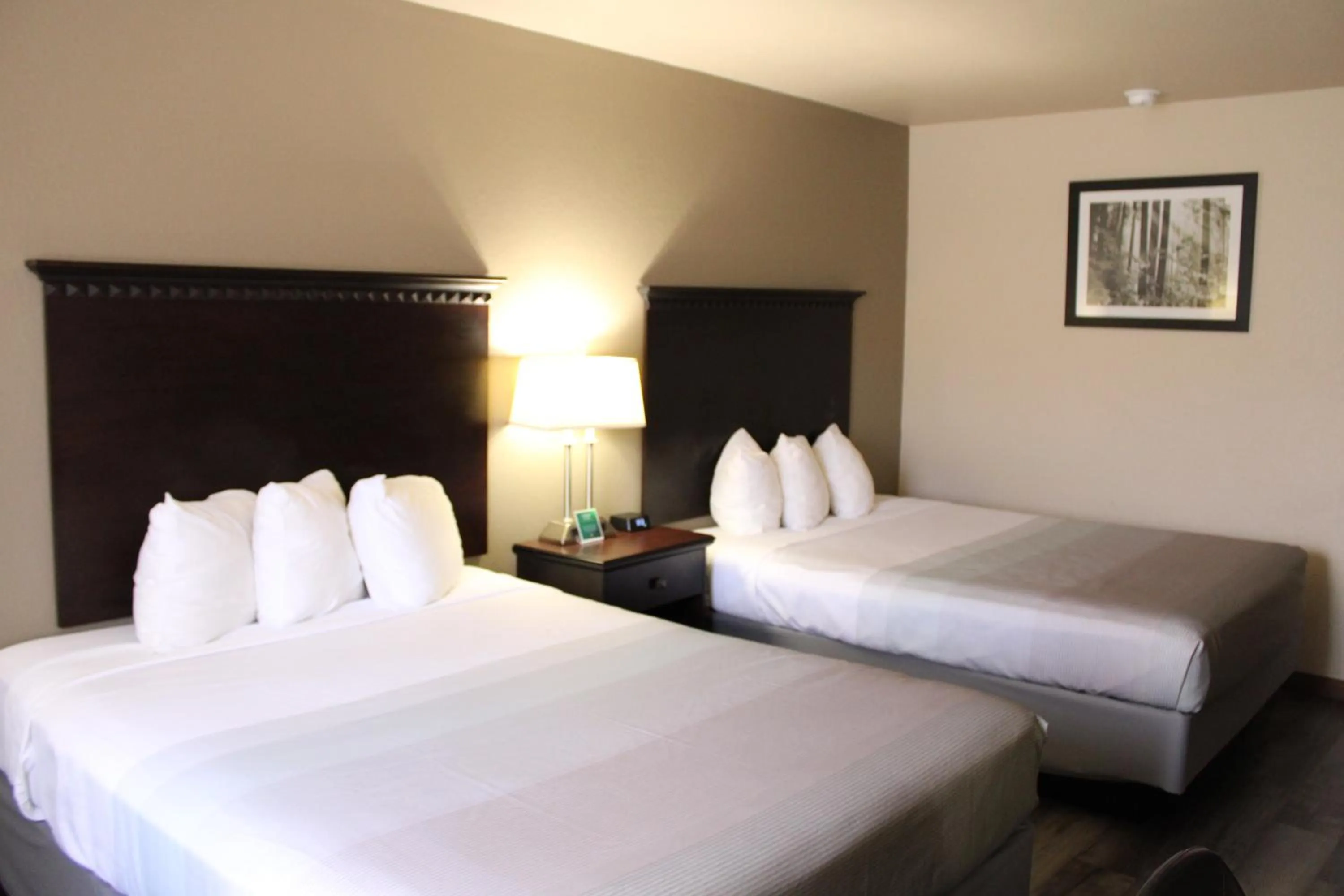 Bed in Econo Lodge Gunnison