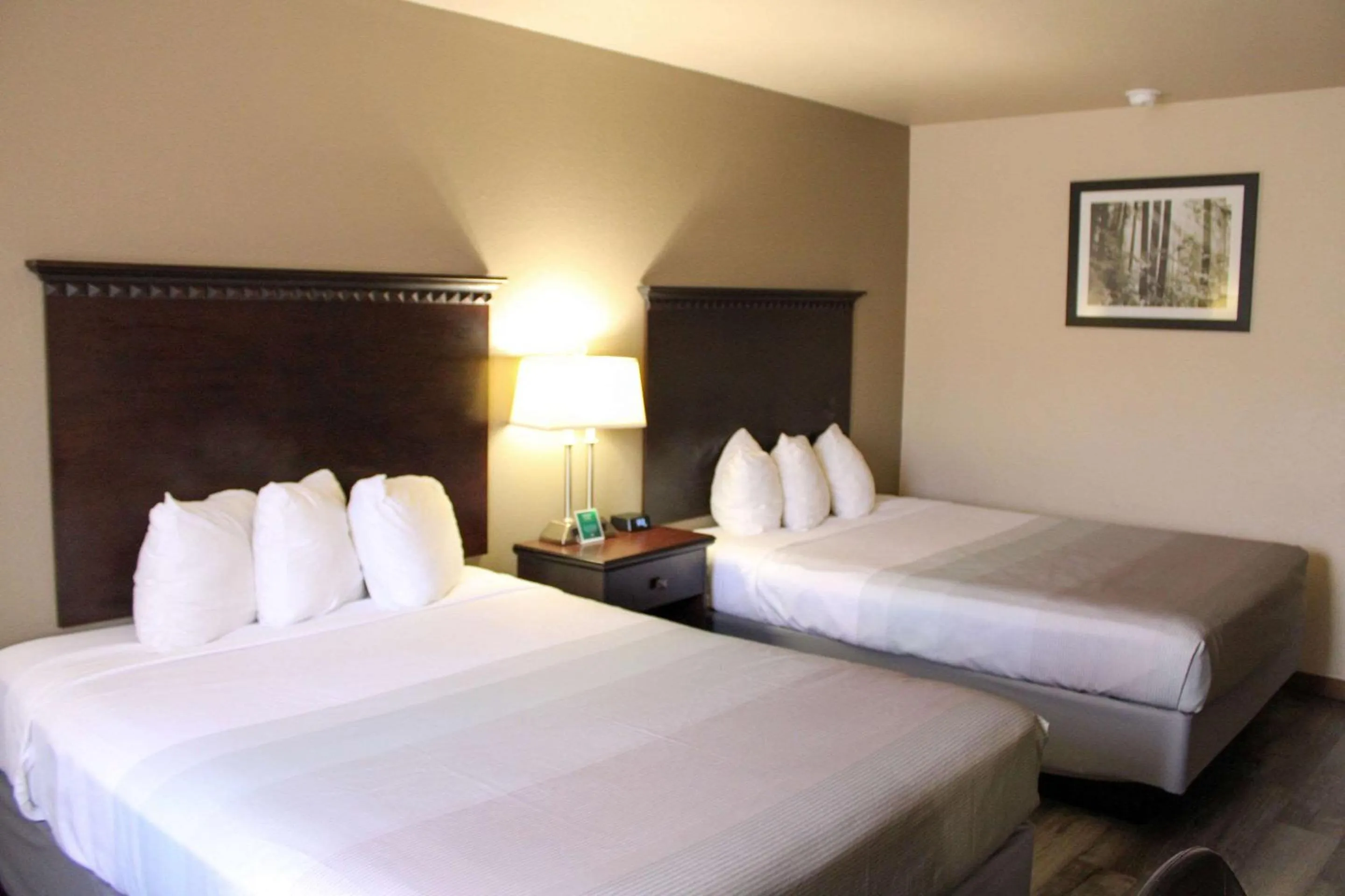 Bedroom in Econo Lodge Gunnison