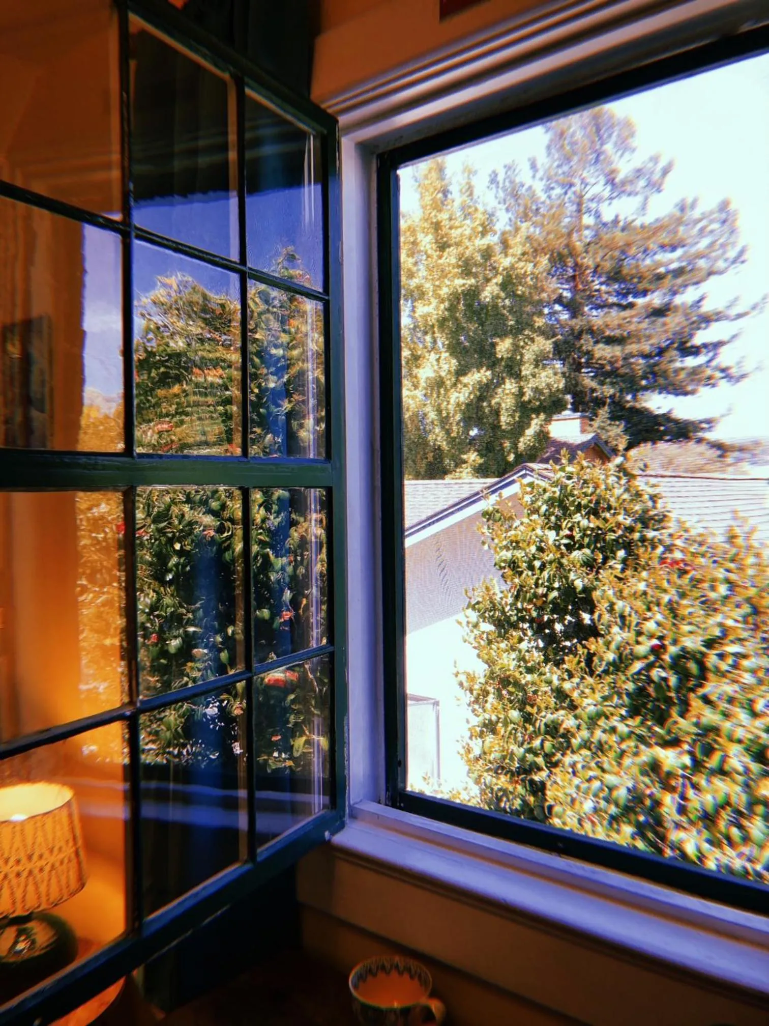 Garden view in Santa Cruz Hostel