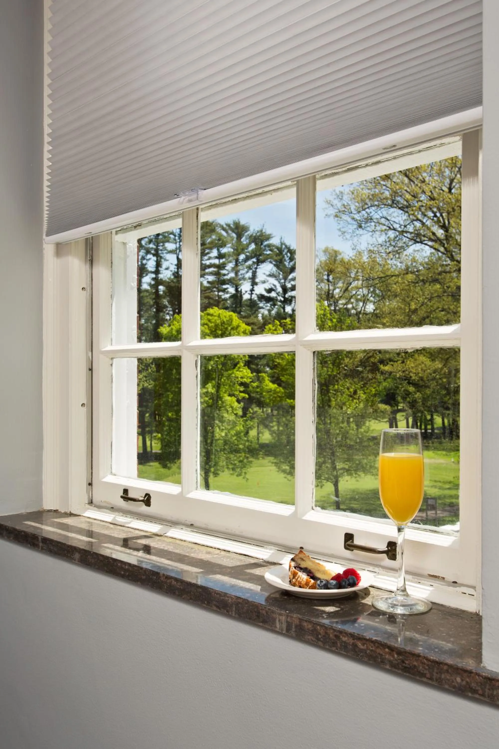 View (from property/room) in Gideon Putnam Resort & Spa