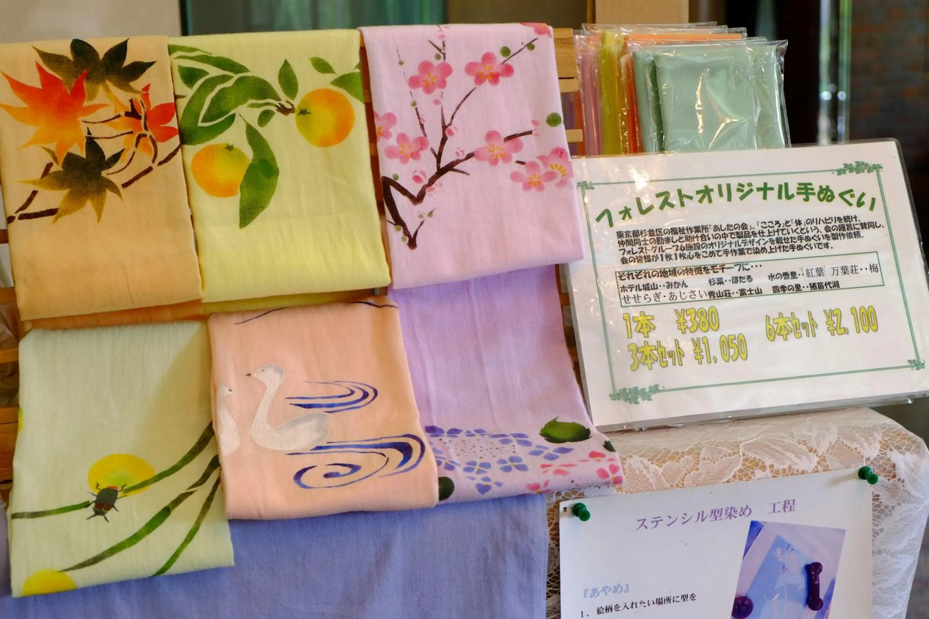 Other in Lake Yamanakako Shuzansou