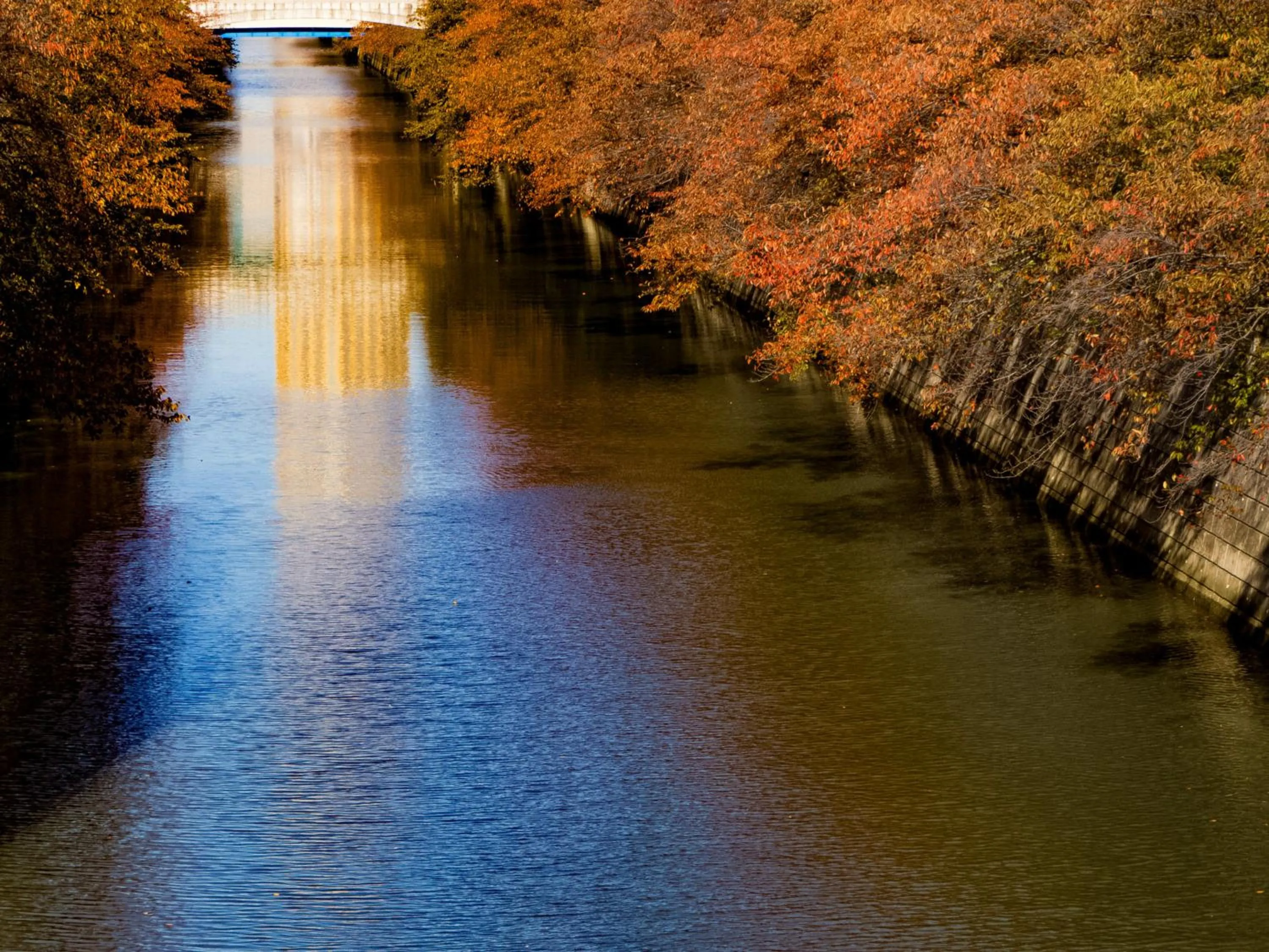 Natural landscape in The Westin Tokyo