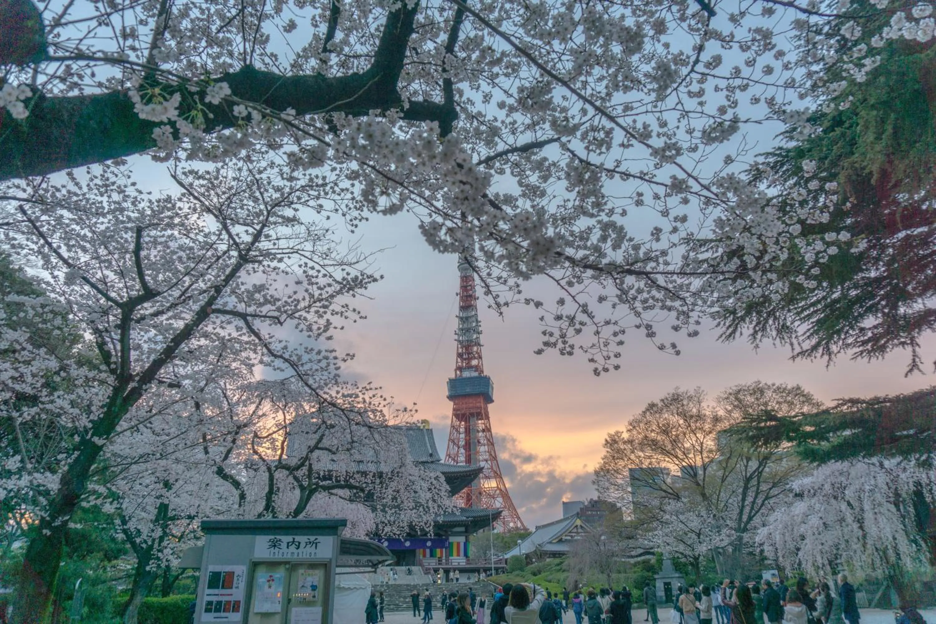 Property building in The Westin Tokyo