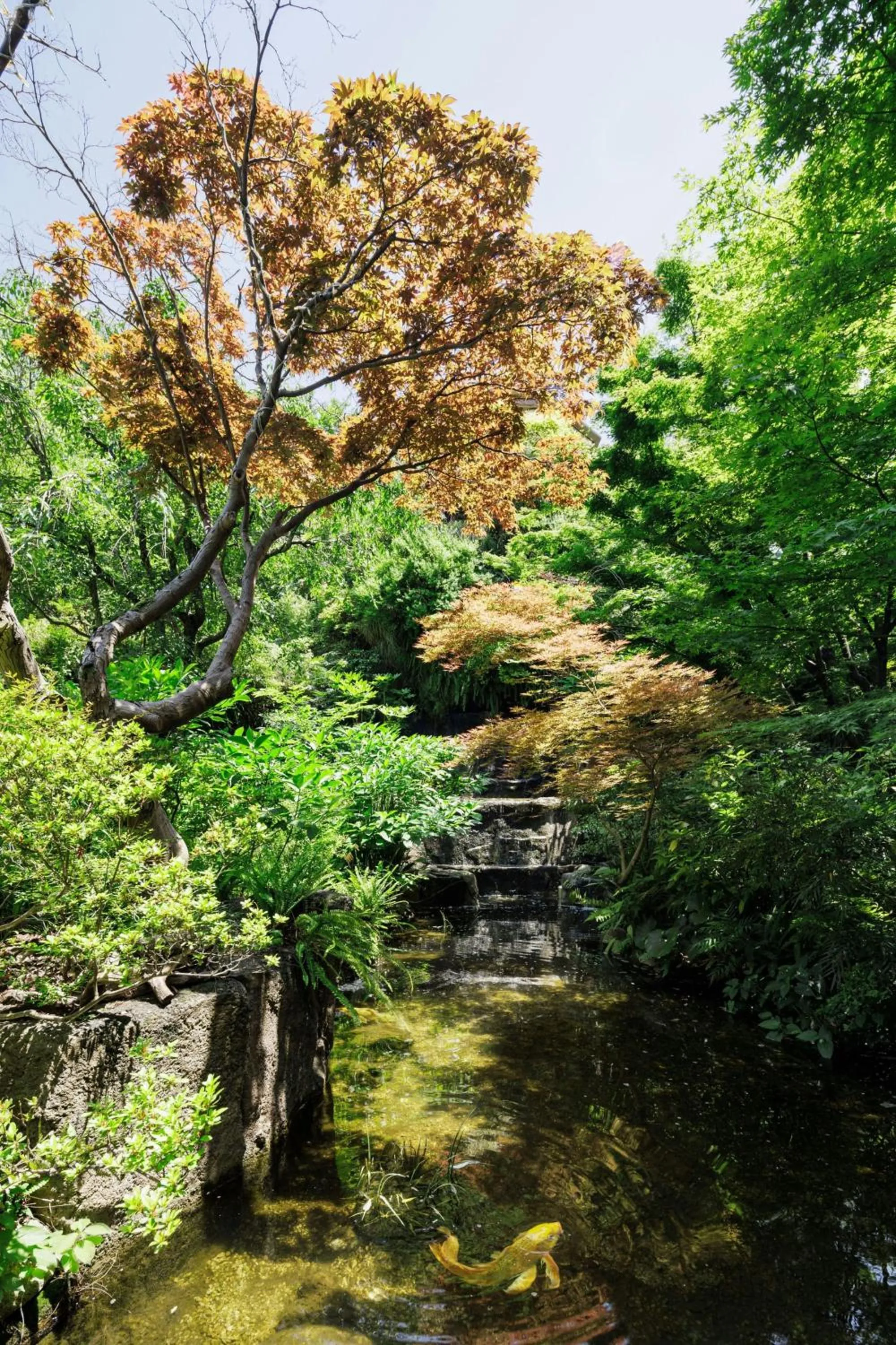 Other in The Westin Tokyo