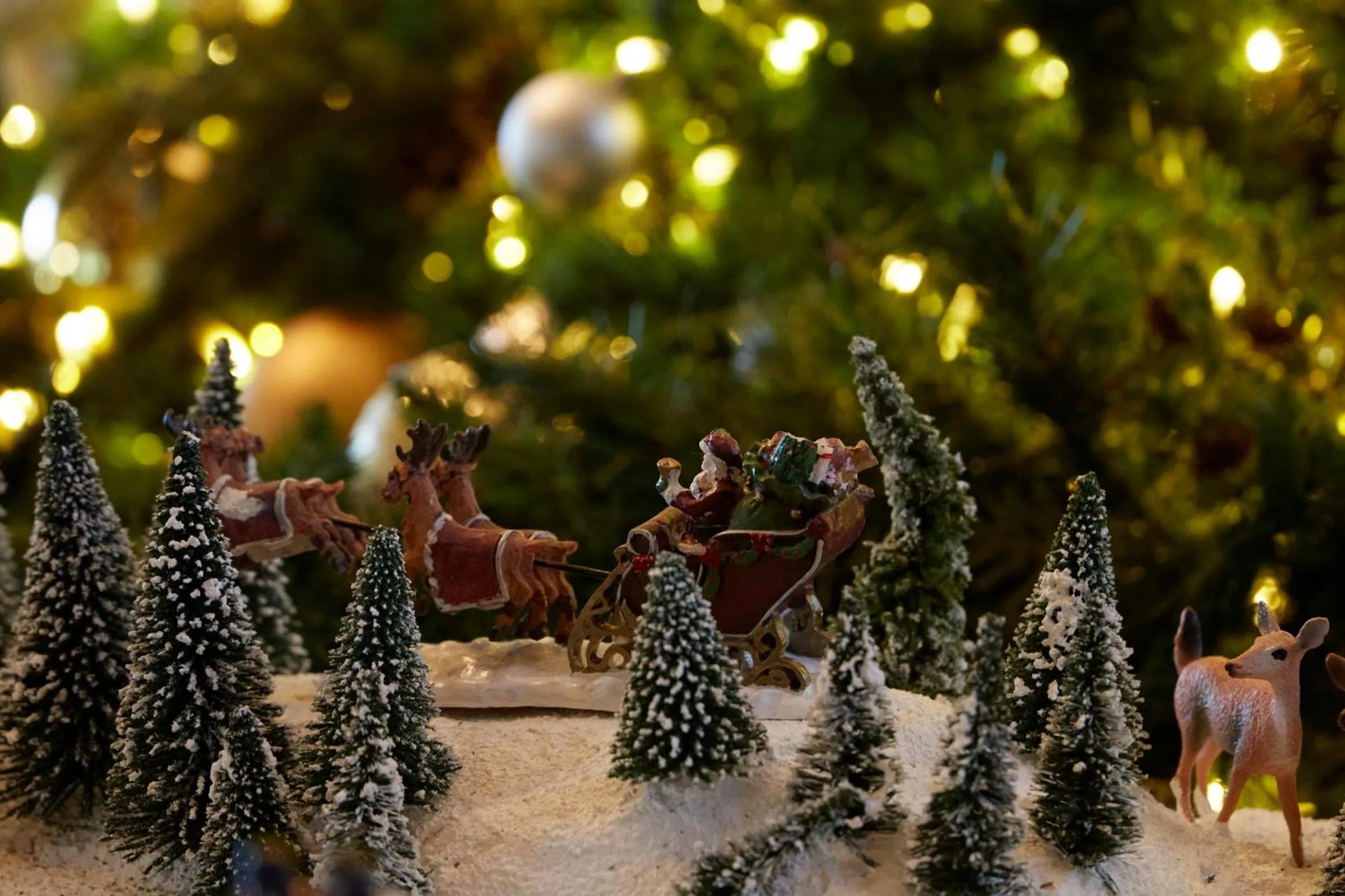 Lobby or reception in The Westin Tokyo