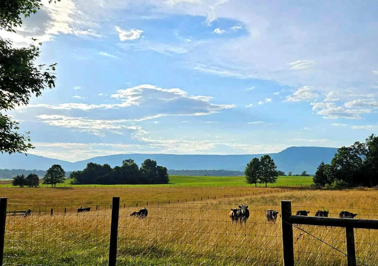 Natural landscape in Piney Hill B&B and Cottages