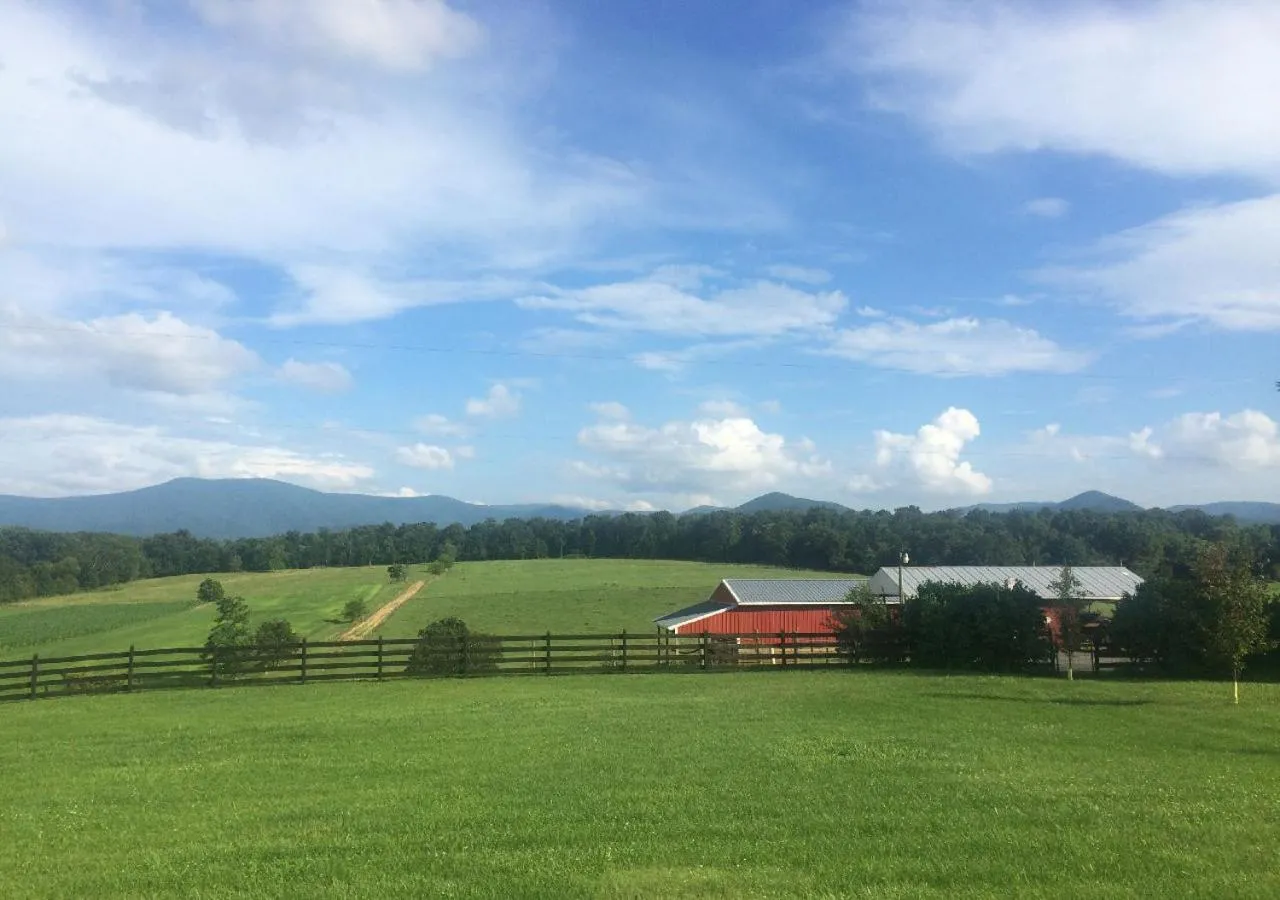 Natural landscape in Piney Hill B&B and Cottages
