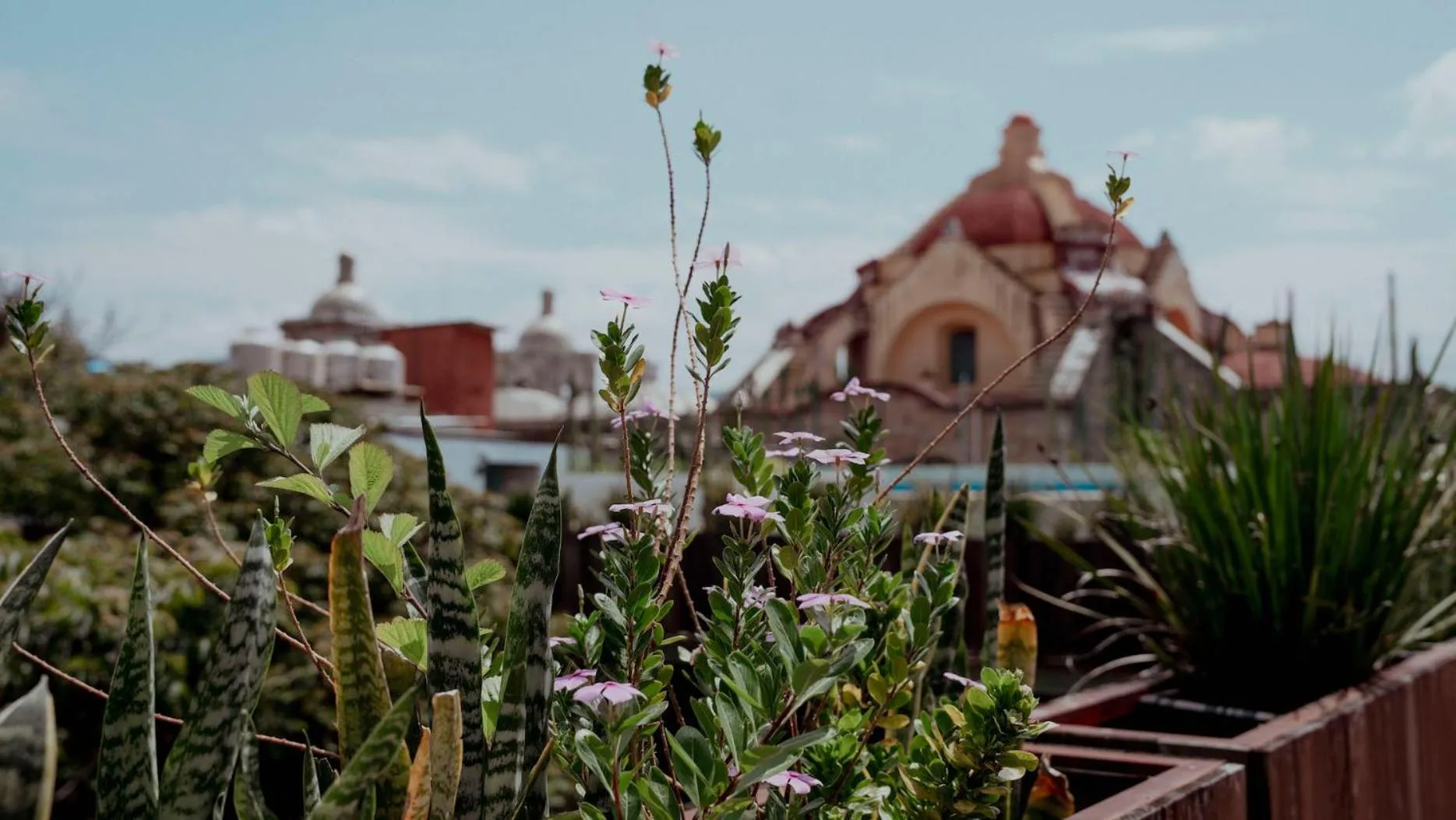 Balcony/Terrace in Hotel Siglo 17