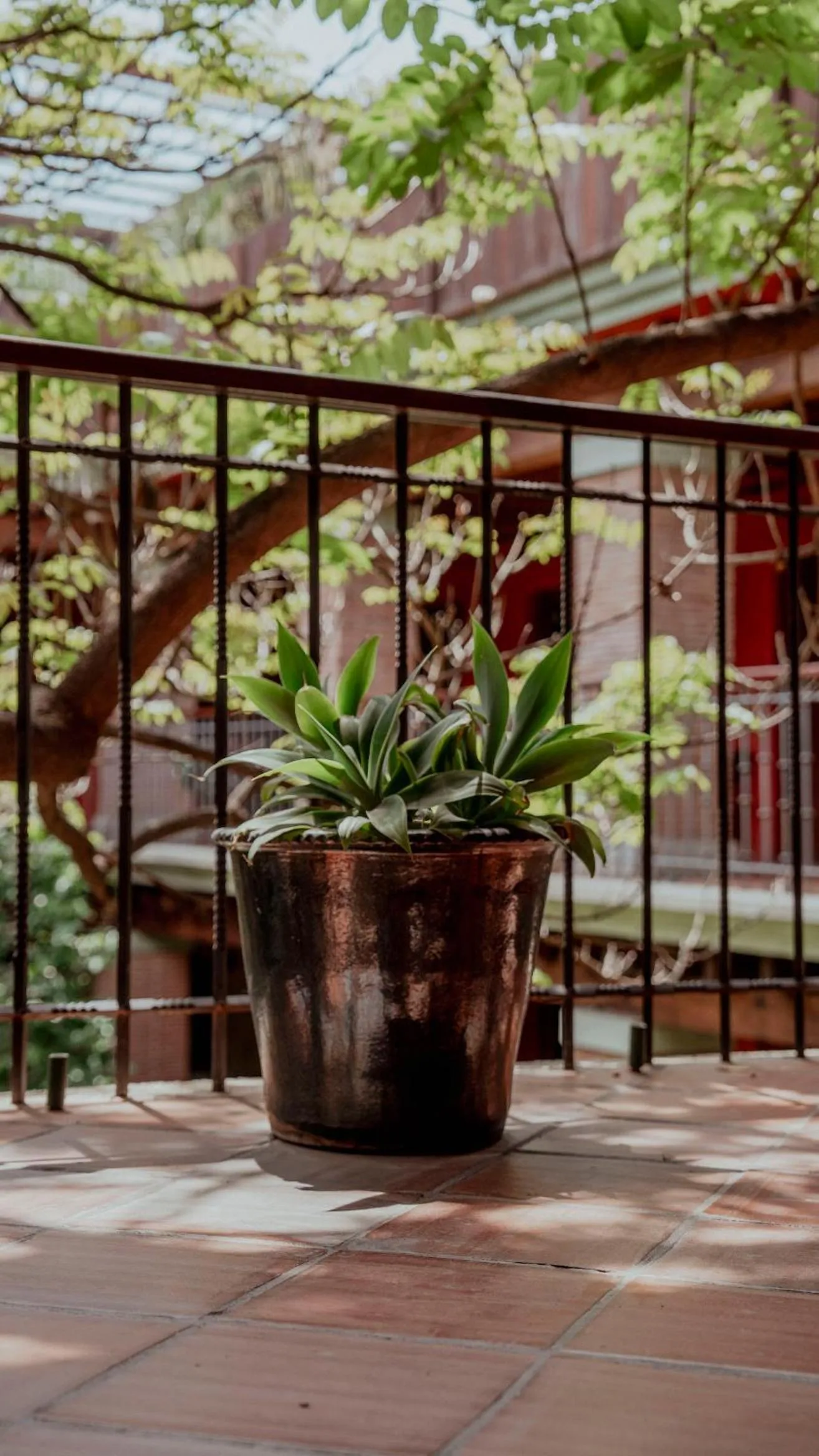 Patio in Hotel Siglo 17
