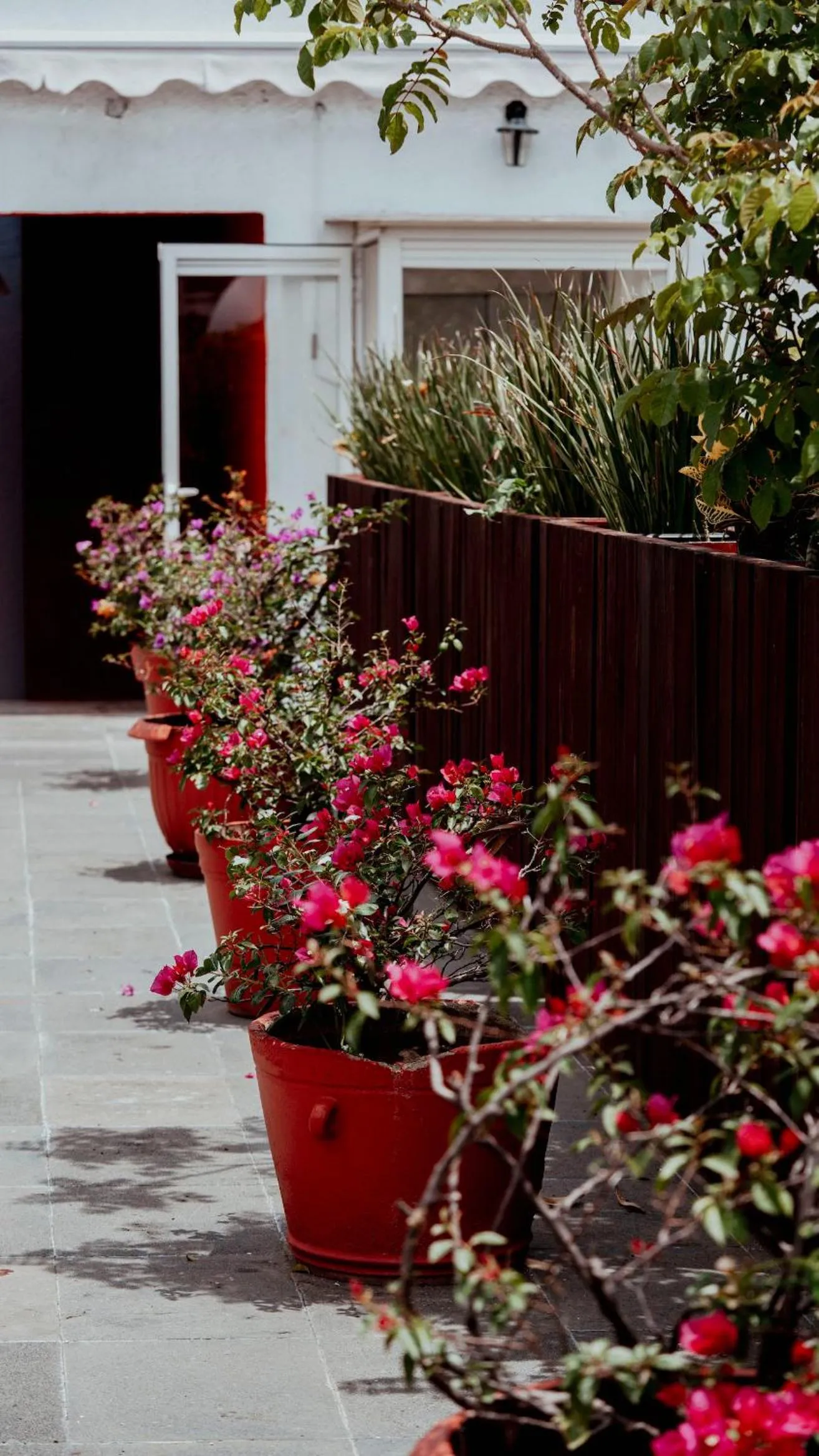 Day in Hotel Siglo 17