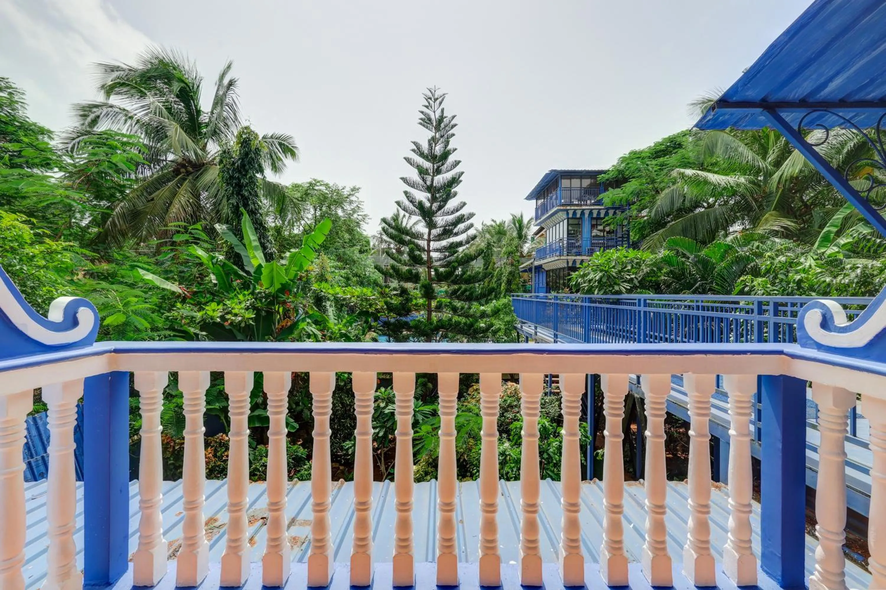 View (from property/room) in Mayflower Beach Resort