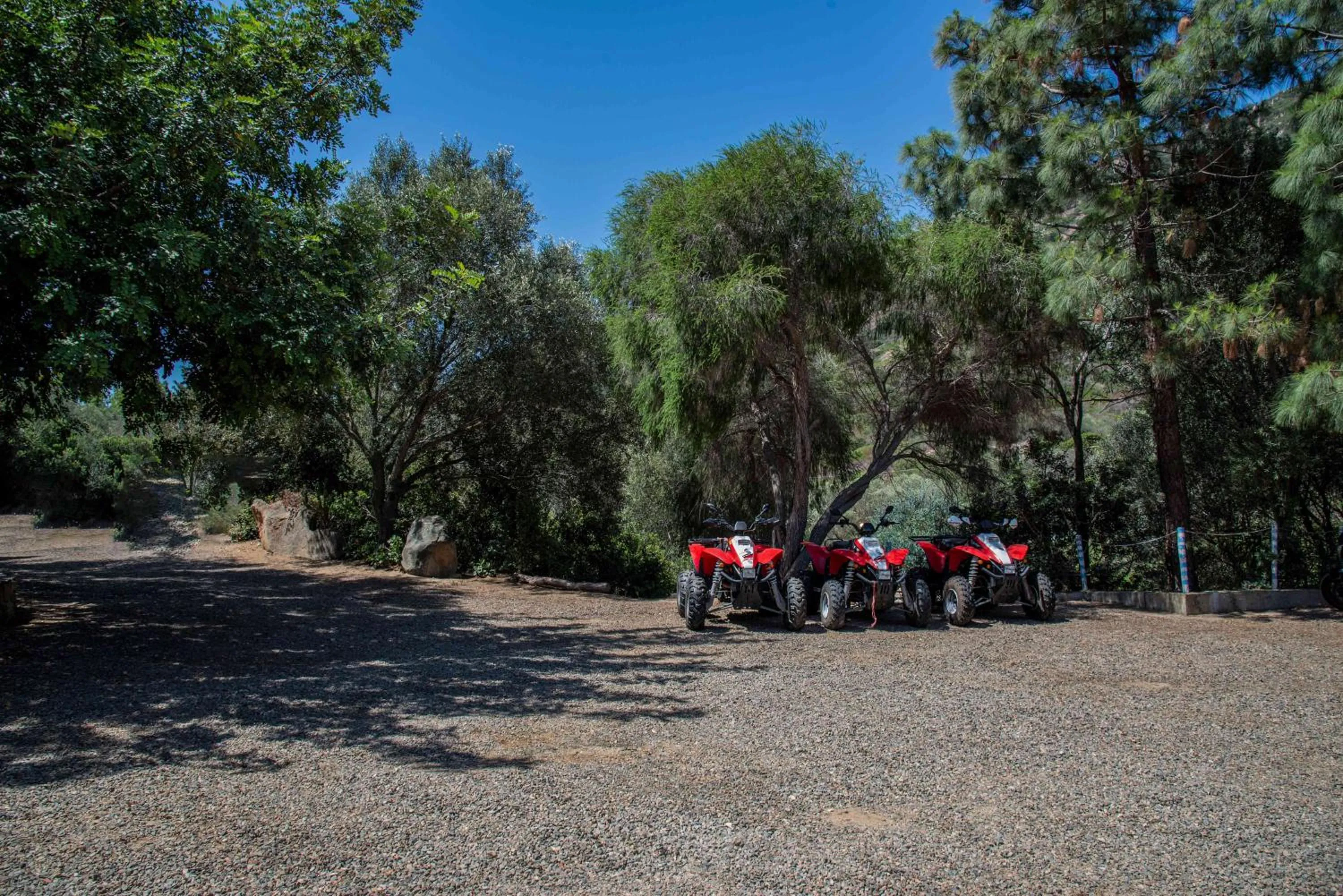 Property building in Hotel L'Oleandro
