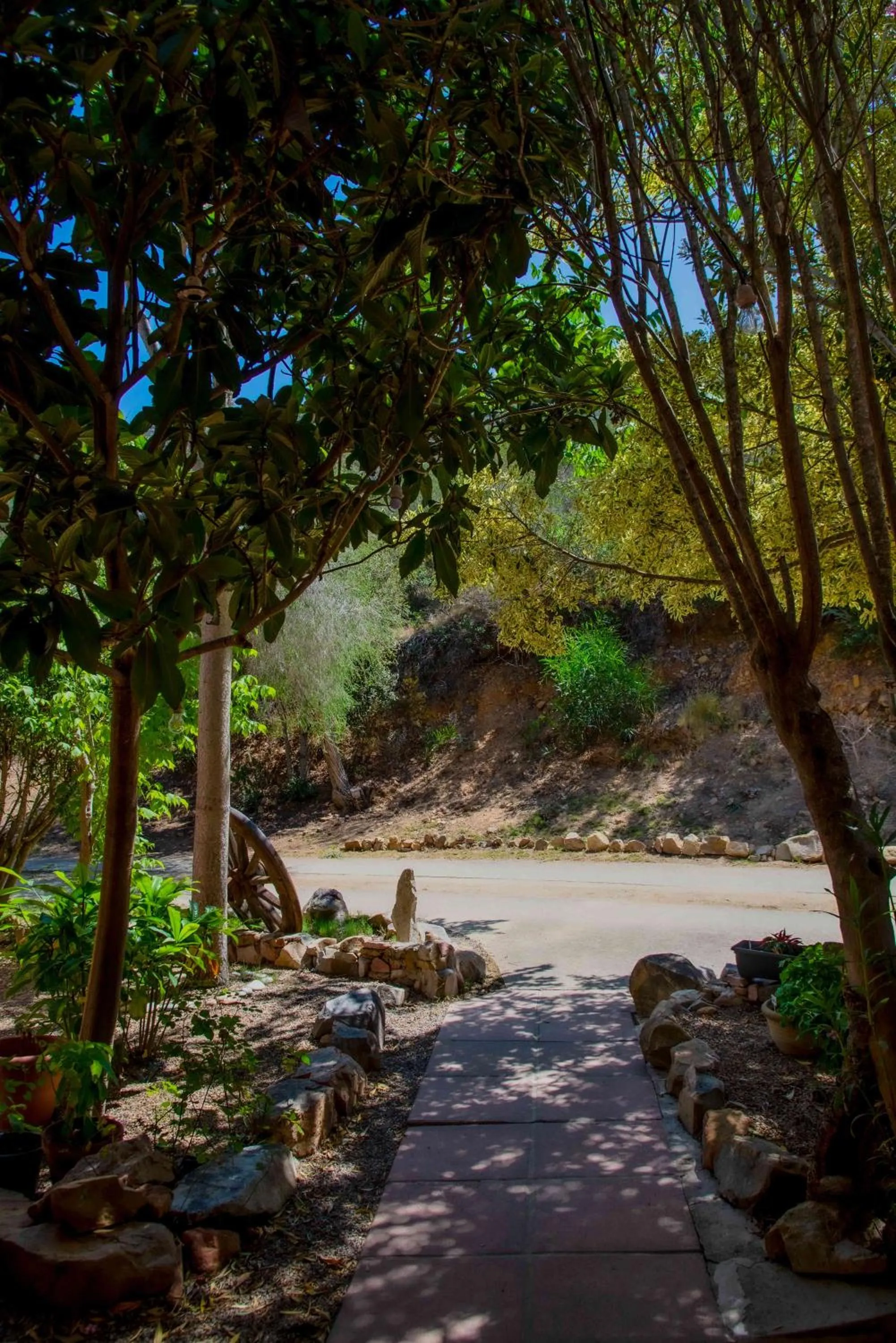 Natural landscape in Hotel L'Oleandro