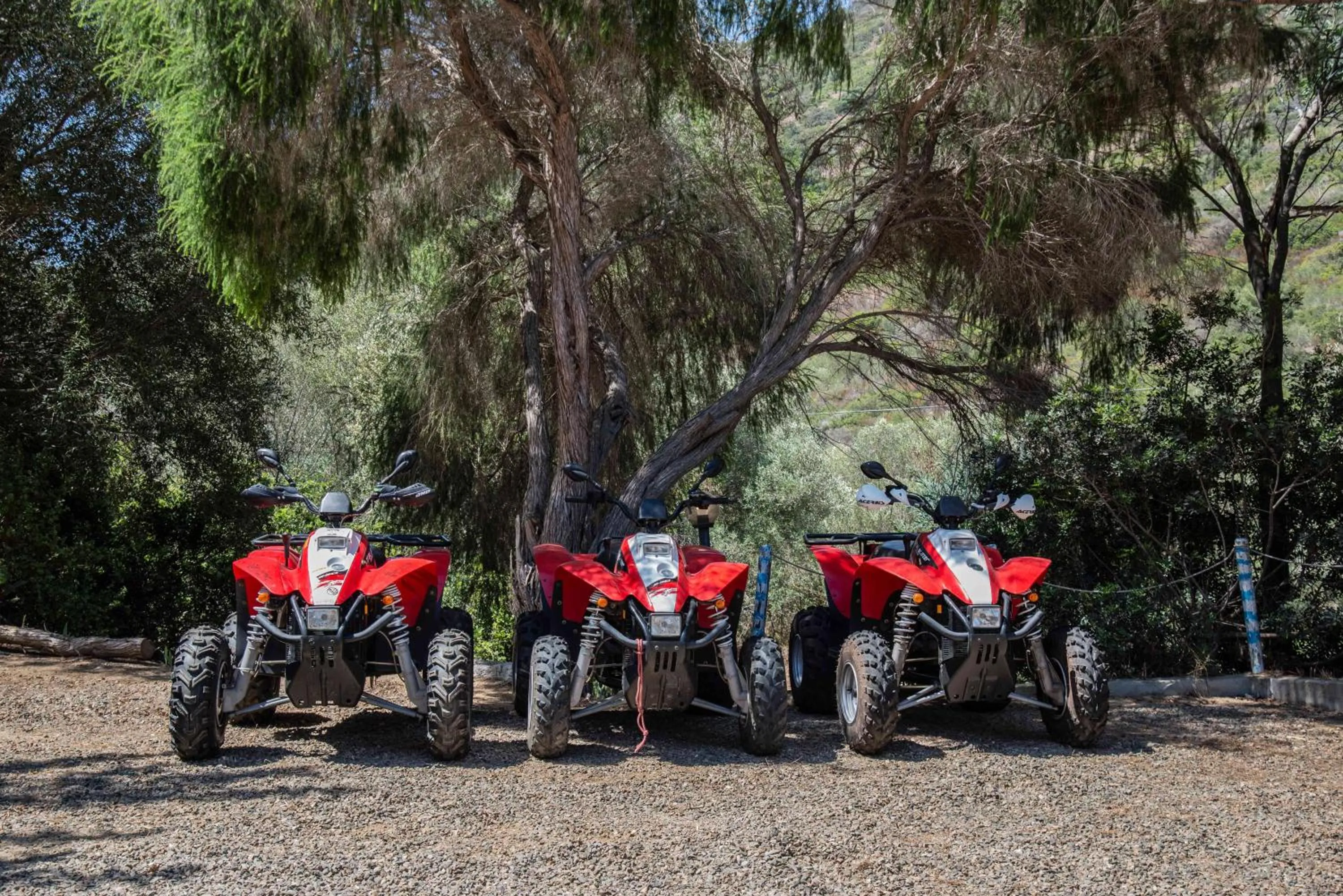 Activities in Hotel L'Oleandro