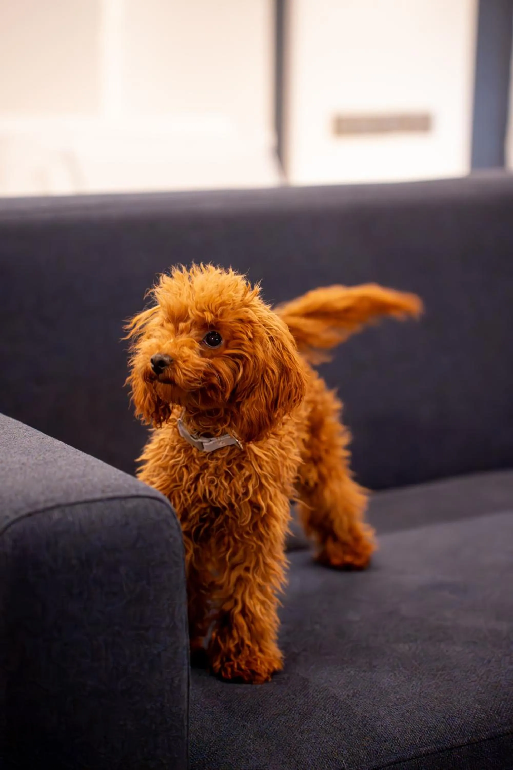 Hotel Málaga Nostrum Airport