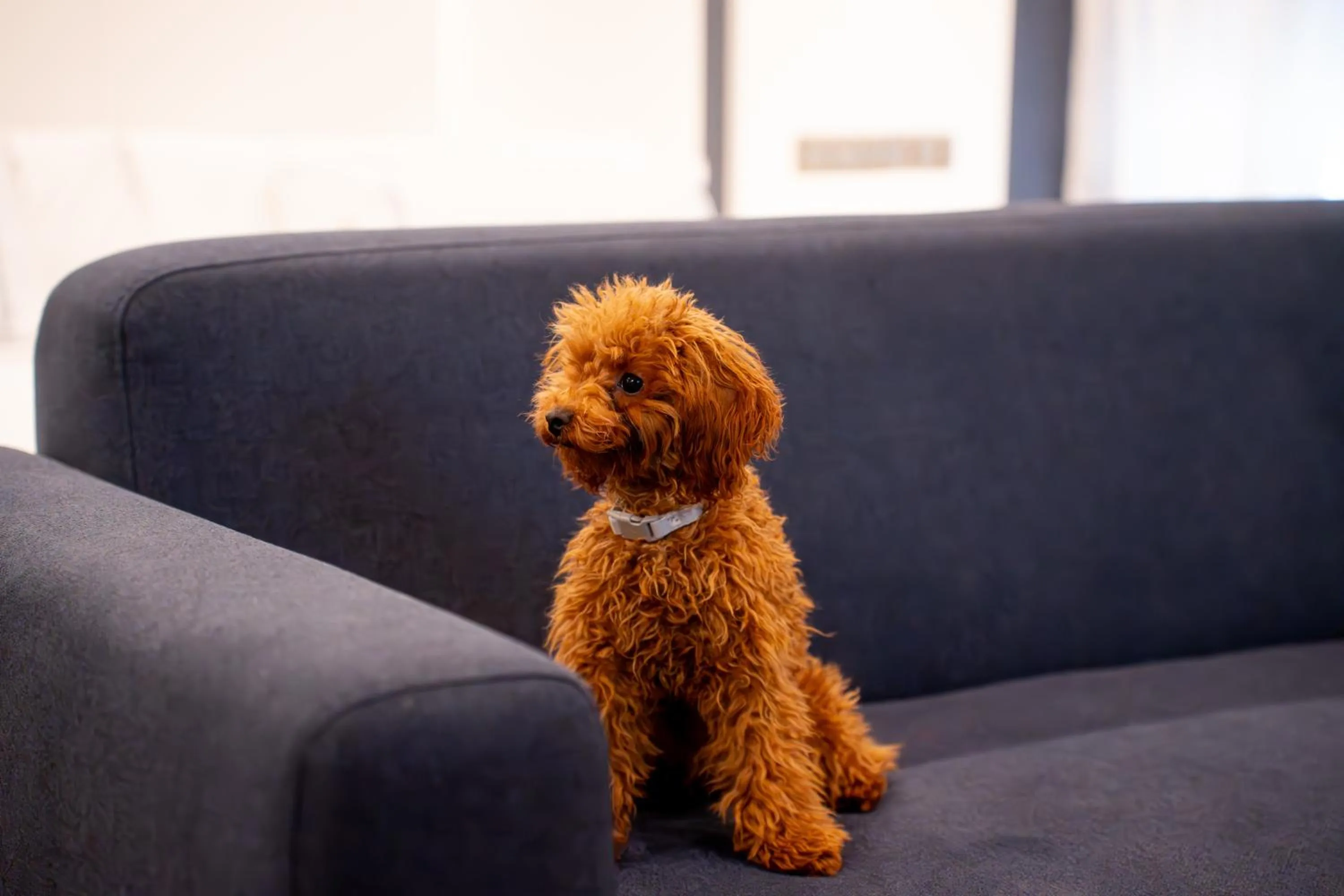 Hotel Málaga Nostrum Airport